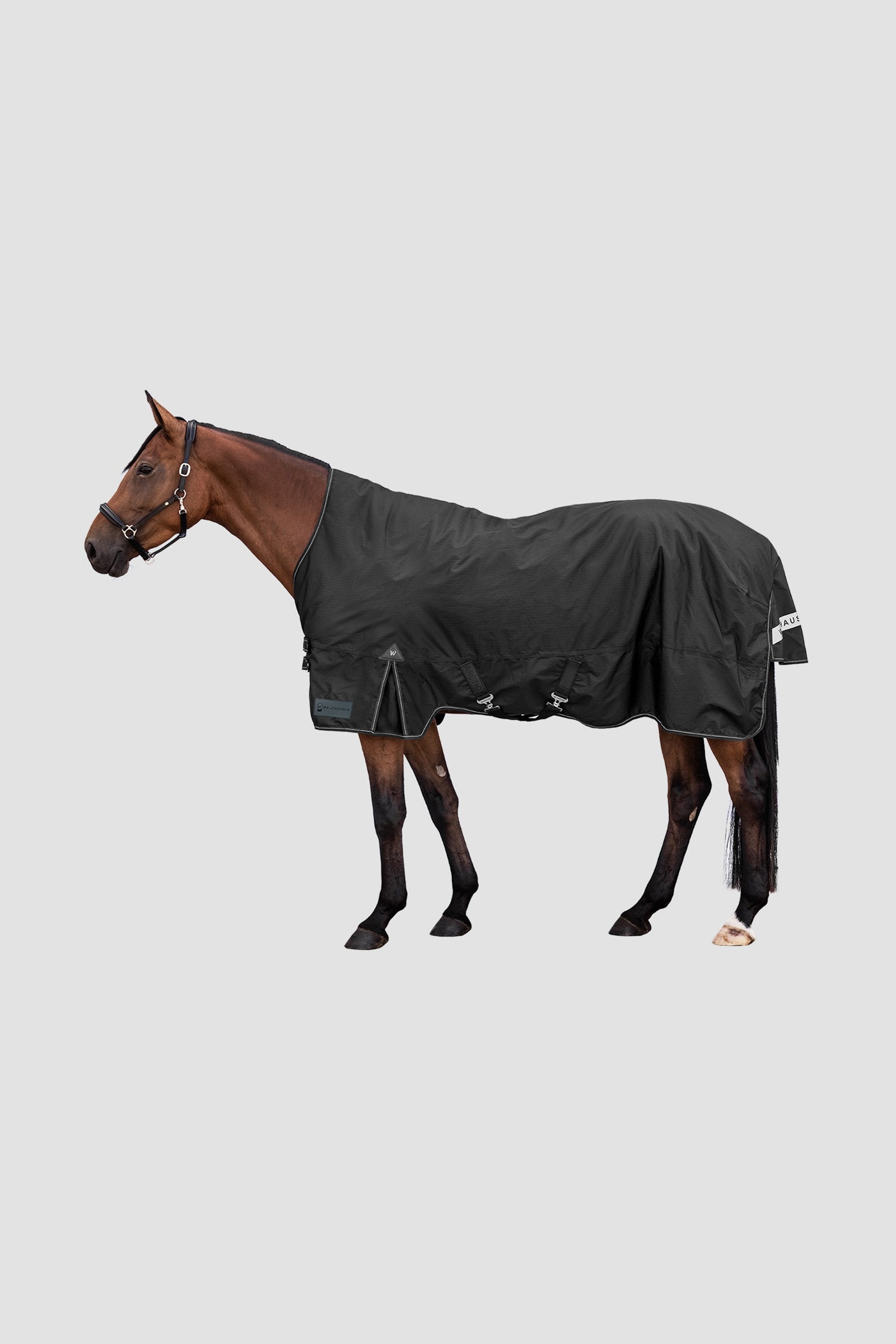 Waldhausen Arctic Outdoor Rug With High Neck, 100 g Mantas Caballo