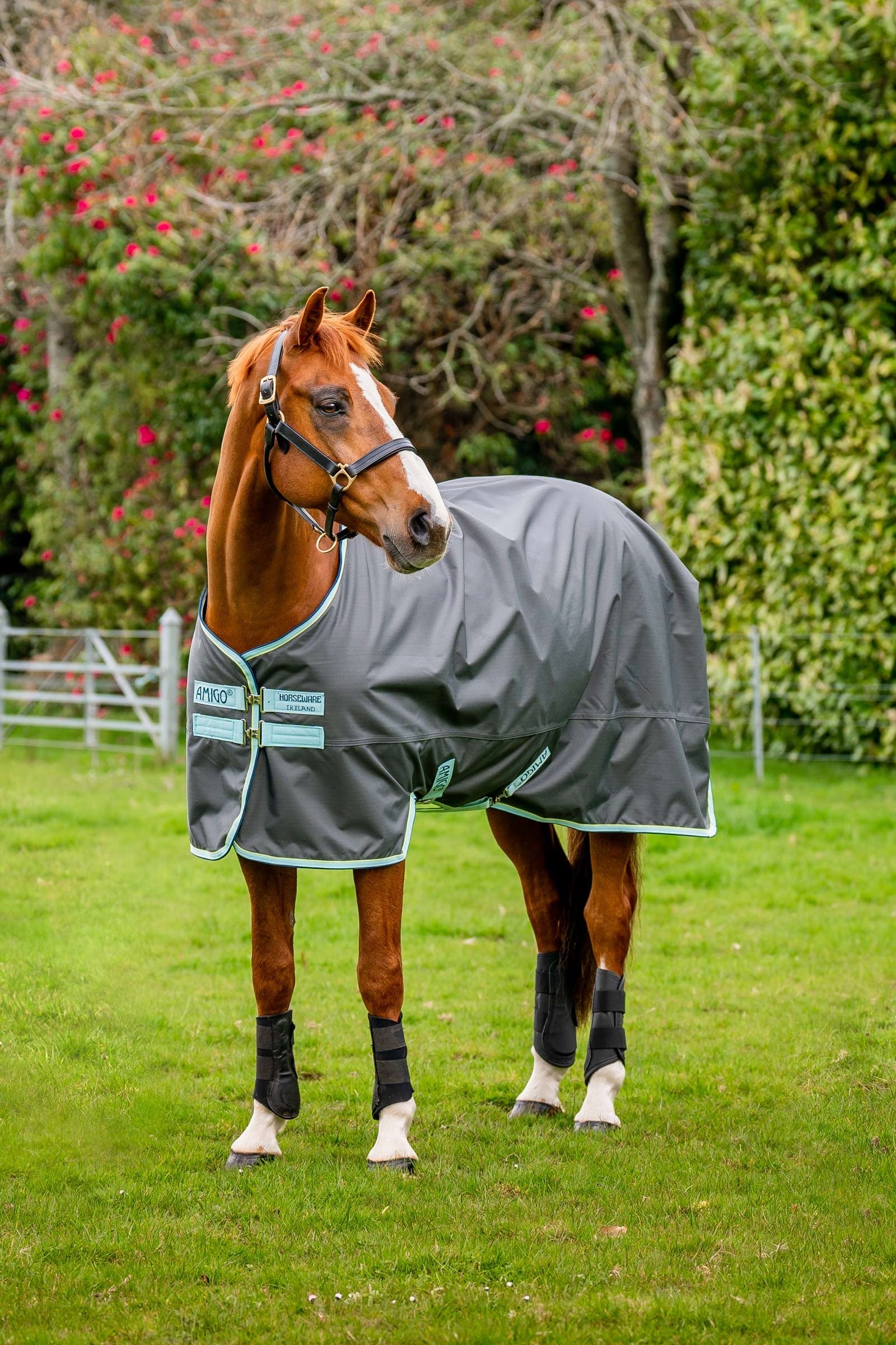 Horseware Amigo Hero Ripstop manta de exterior con forro polar, 50g Mantas Caballo