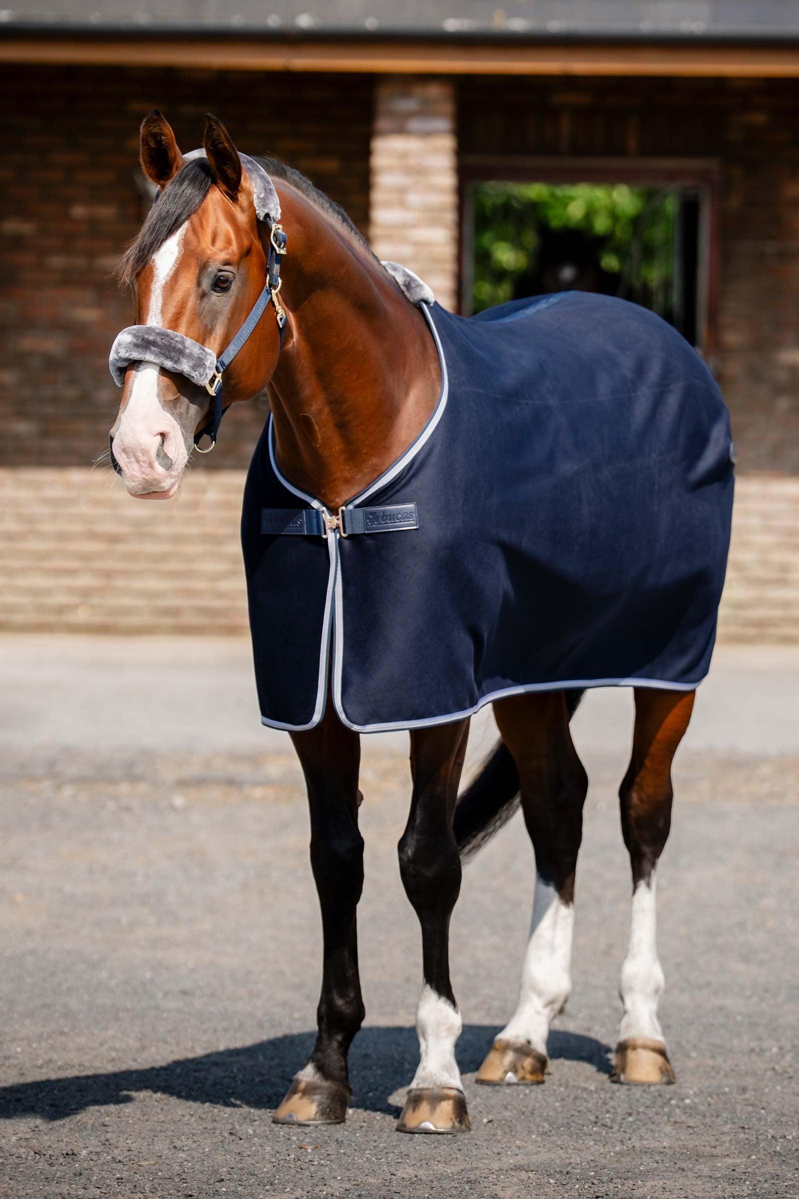 Bucas Emerald Wool Rug Mantas Caballo