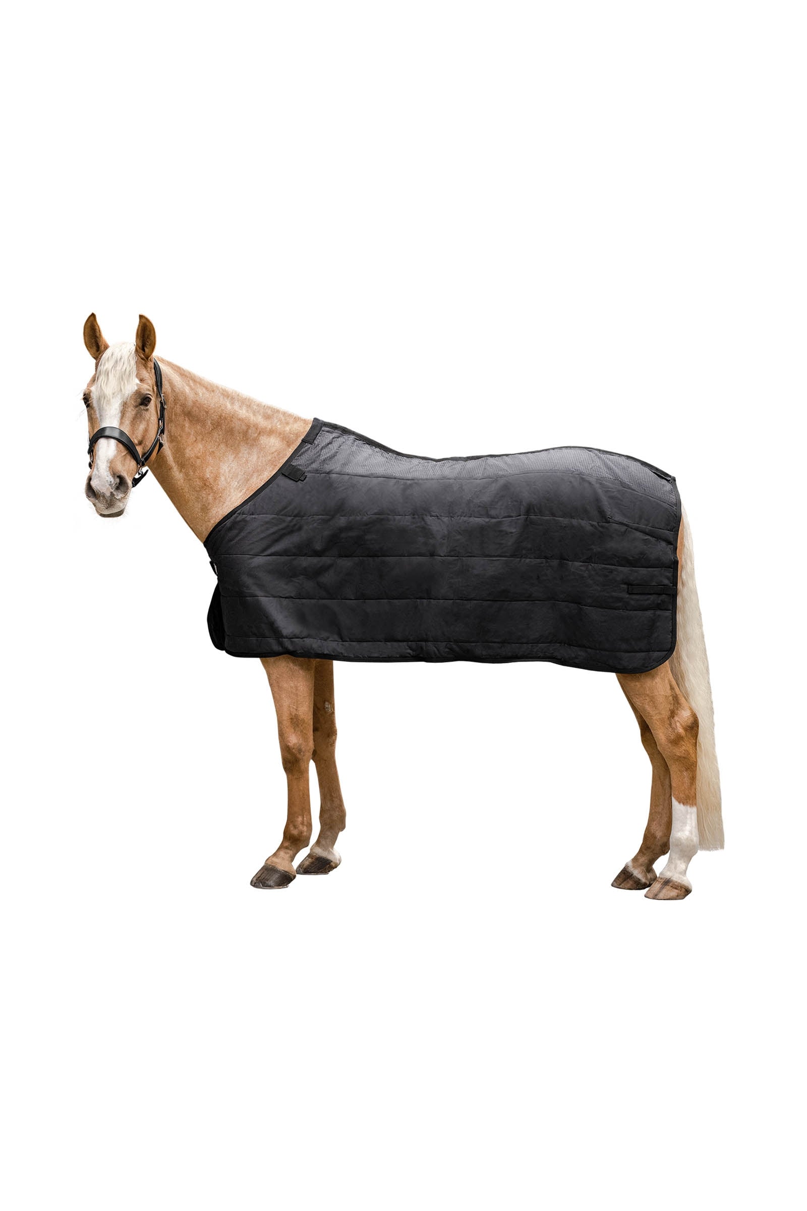 Waldhausen Thermo Underrug 100 g Mantas Caballo