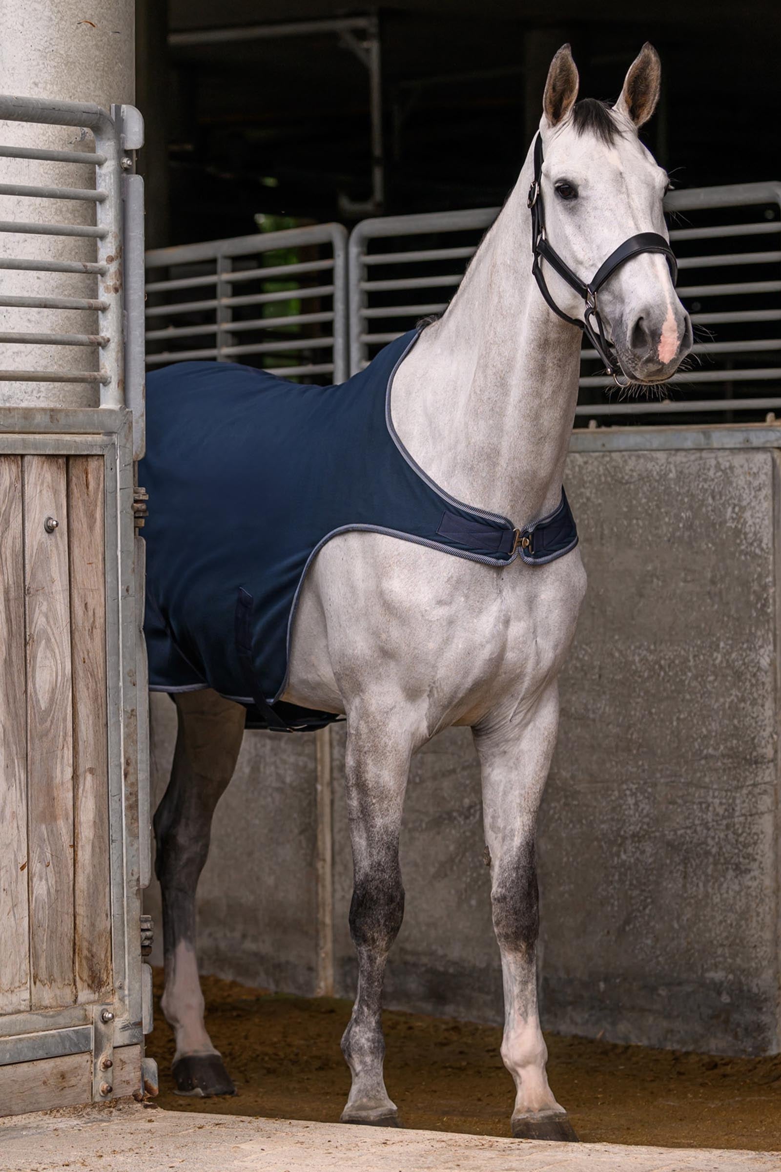 Waldhausen ECONOMIC Fleece Walker Rug Horse Rugs