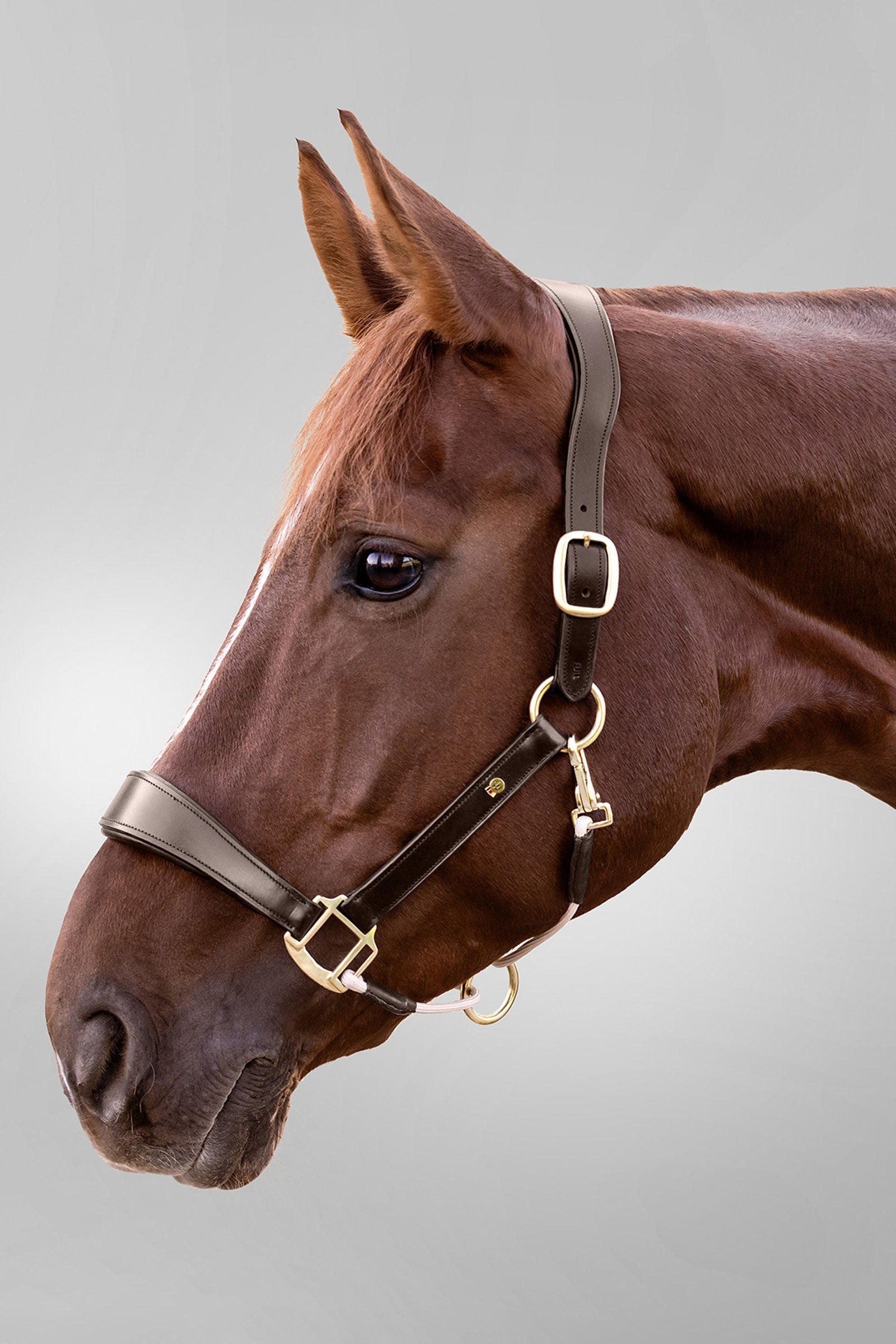 Waldhausen Royal S-Line Leather Halter Halters & Leads