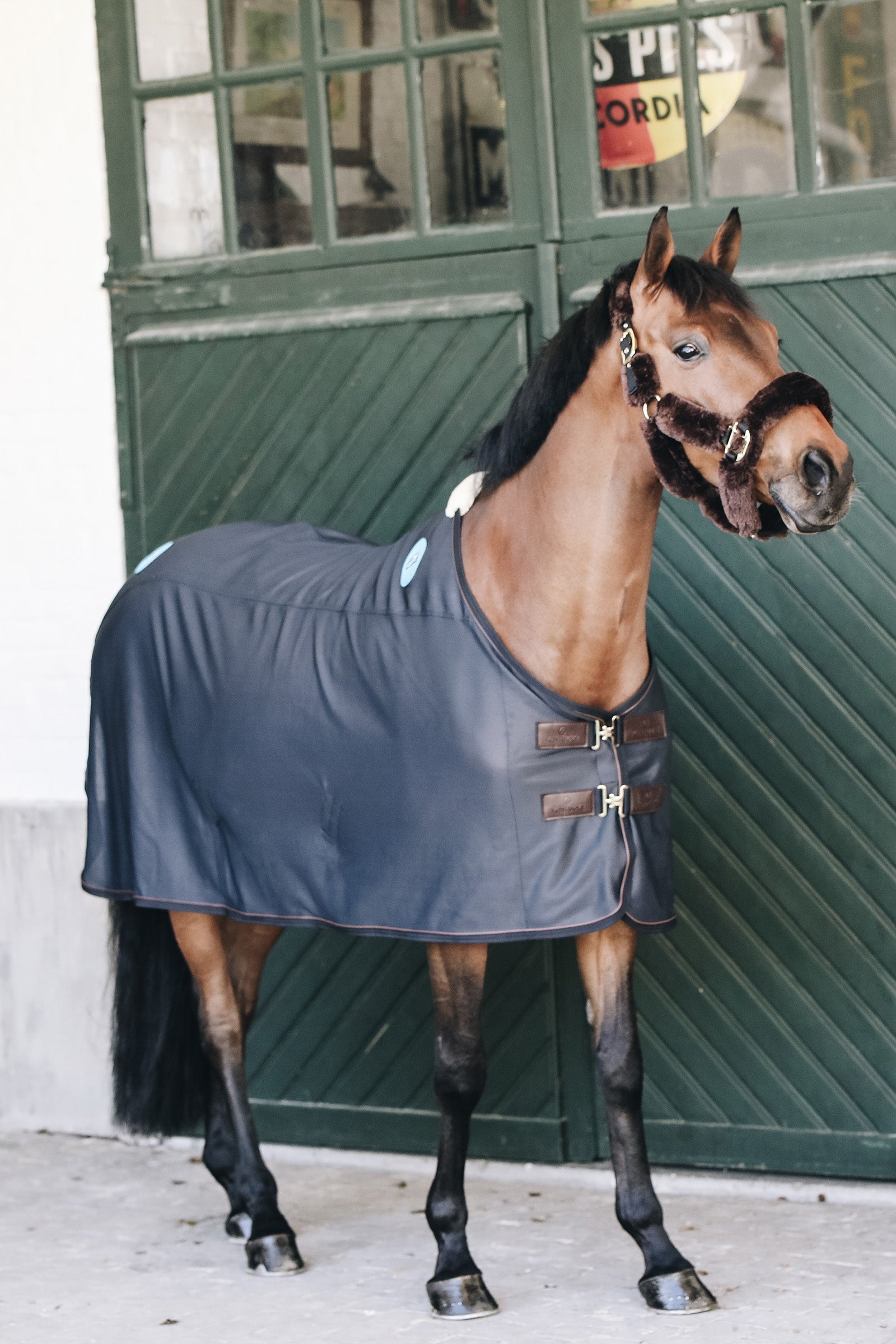 Kentucky Horsewear - Manta magnética Recuptex Mantas Caballo