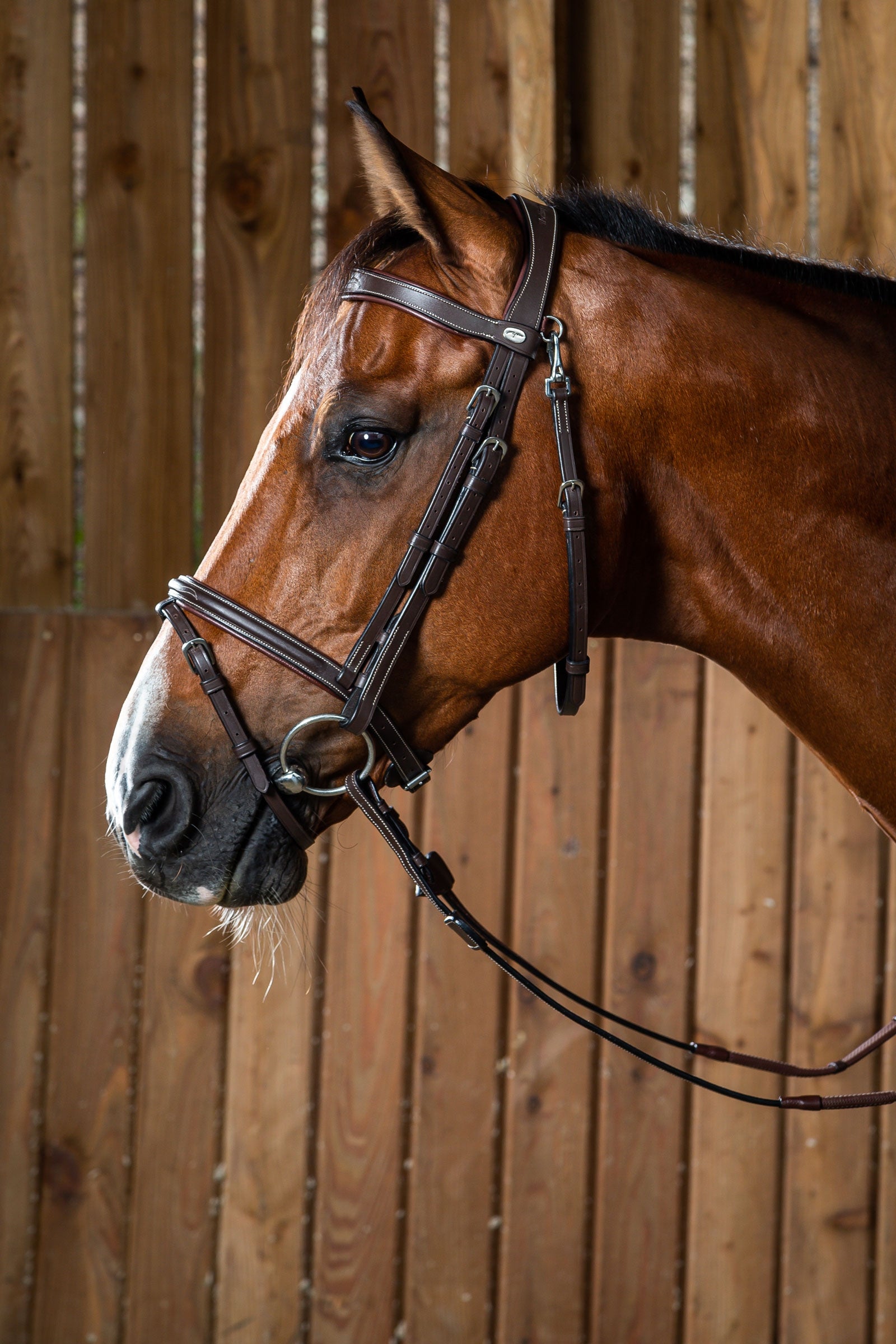 Dy'on Working Flash Noseband Bridle With Snap Hooks Bridles & Reins