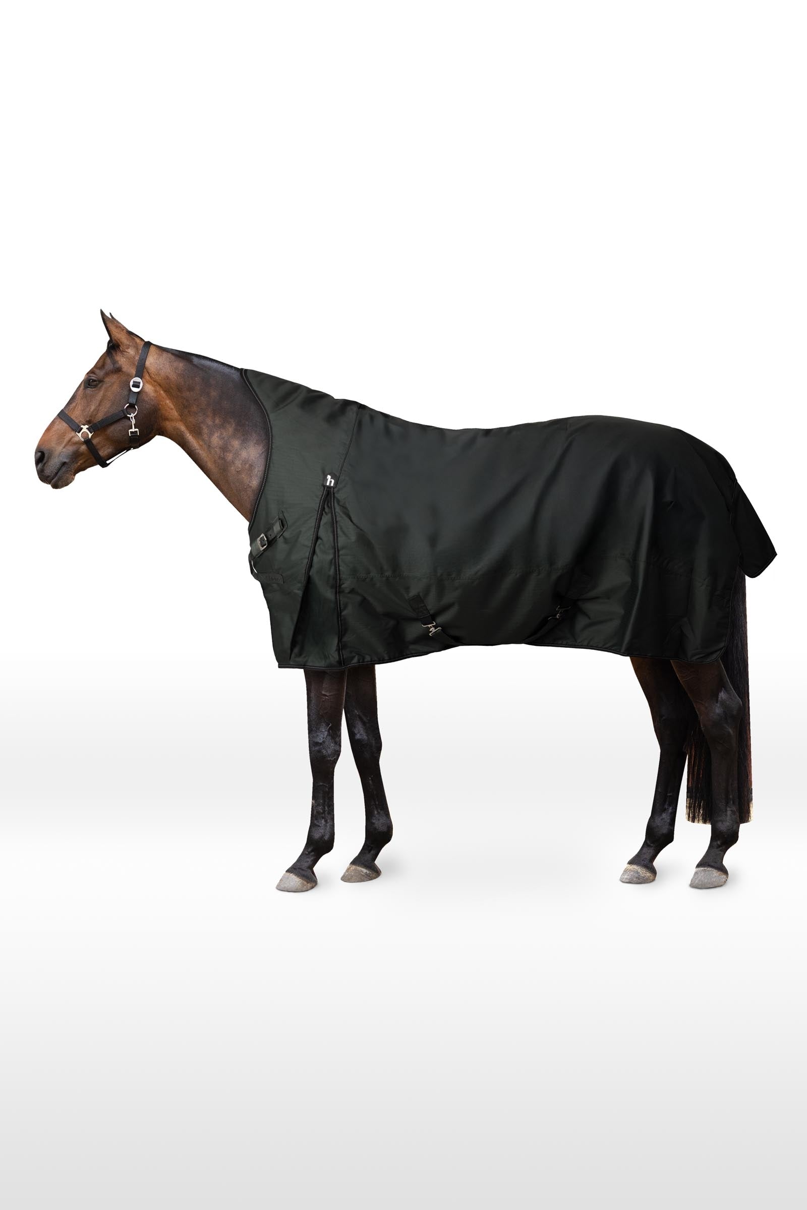 Horze Helsinki Turnout Rug With Half Neck, 100 g Horse Rugs