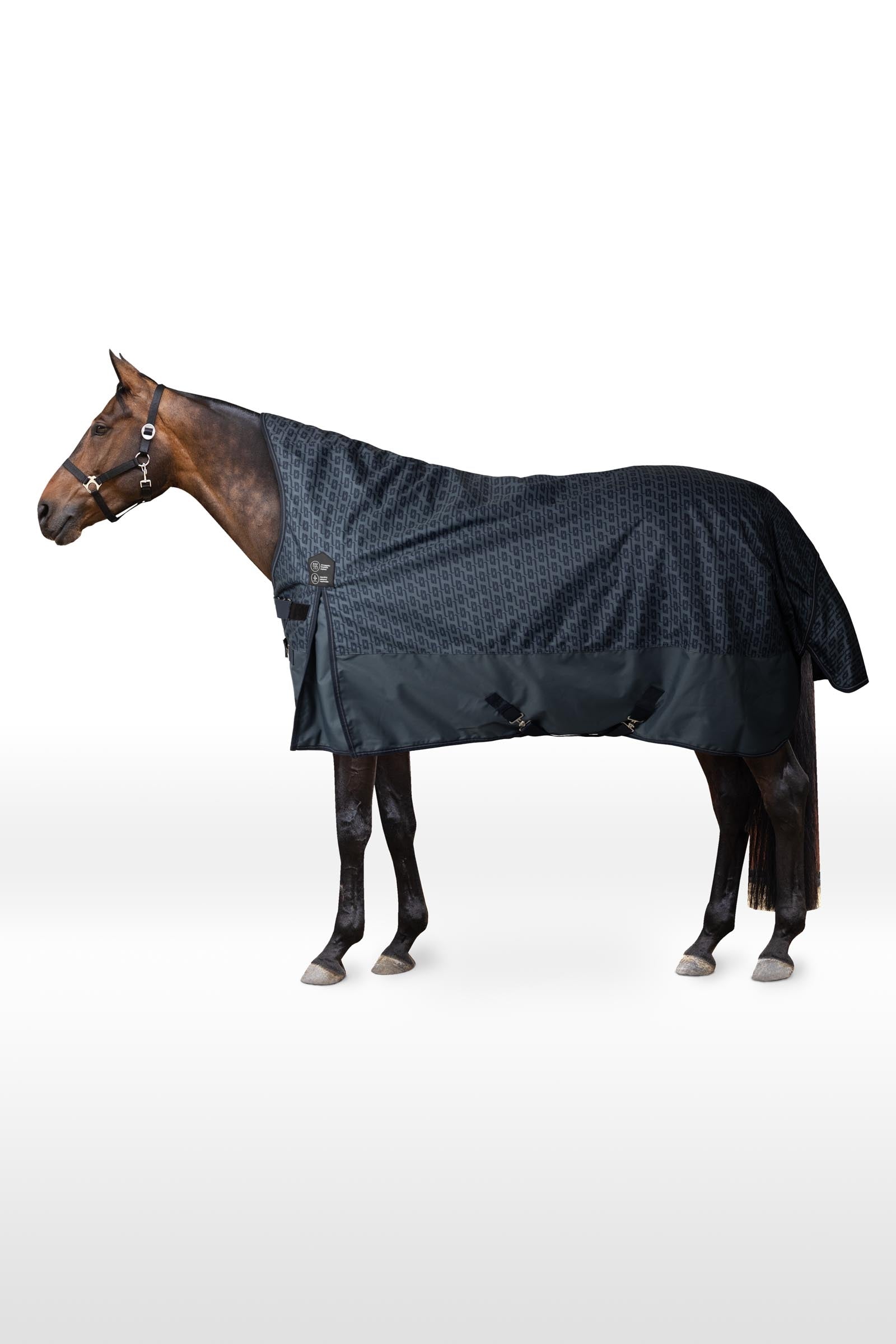Horze Avalanche 1200D Medium Turnout Rug, 50g Horse Rugs
