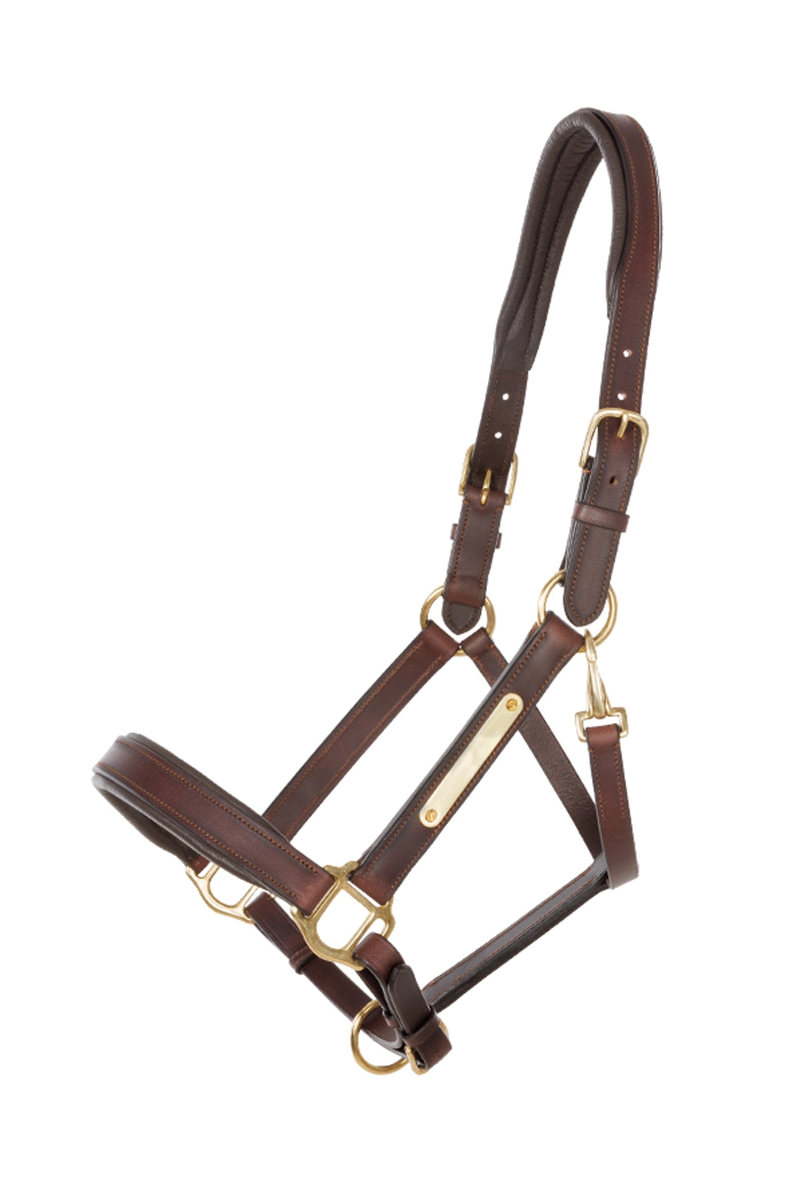 Kavalkade Leather halter Cinta Halters & Leads