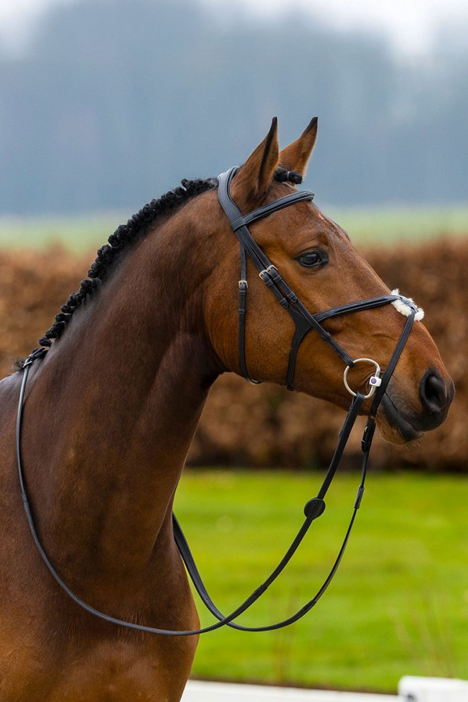 Trust Equestrian Oslo Mexican Noseband Bridle Bridles & Reins
