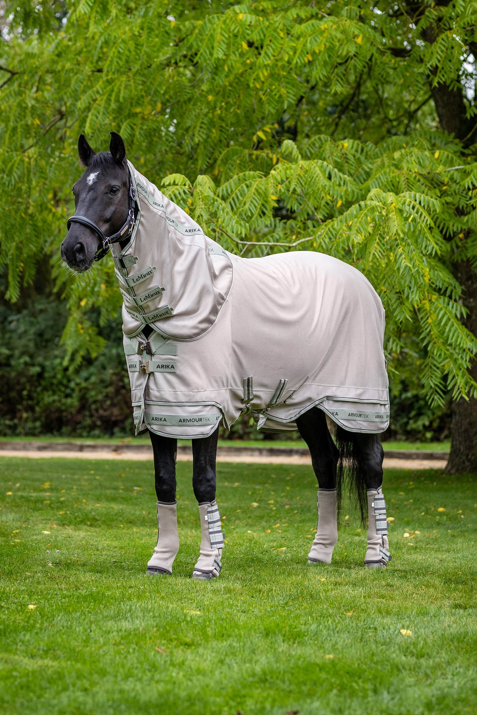 LeMieux Arika Armour-Tek Manta Antimoscas con cuello desmontable Mantas Caballo