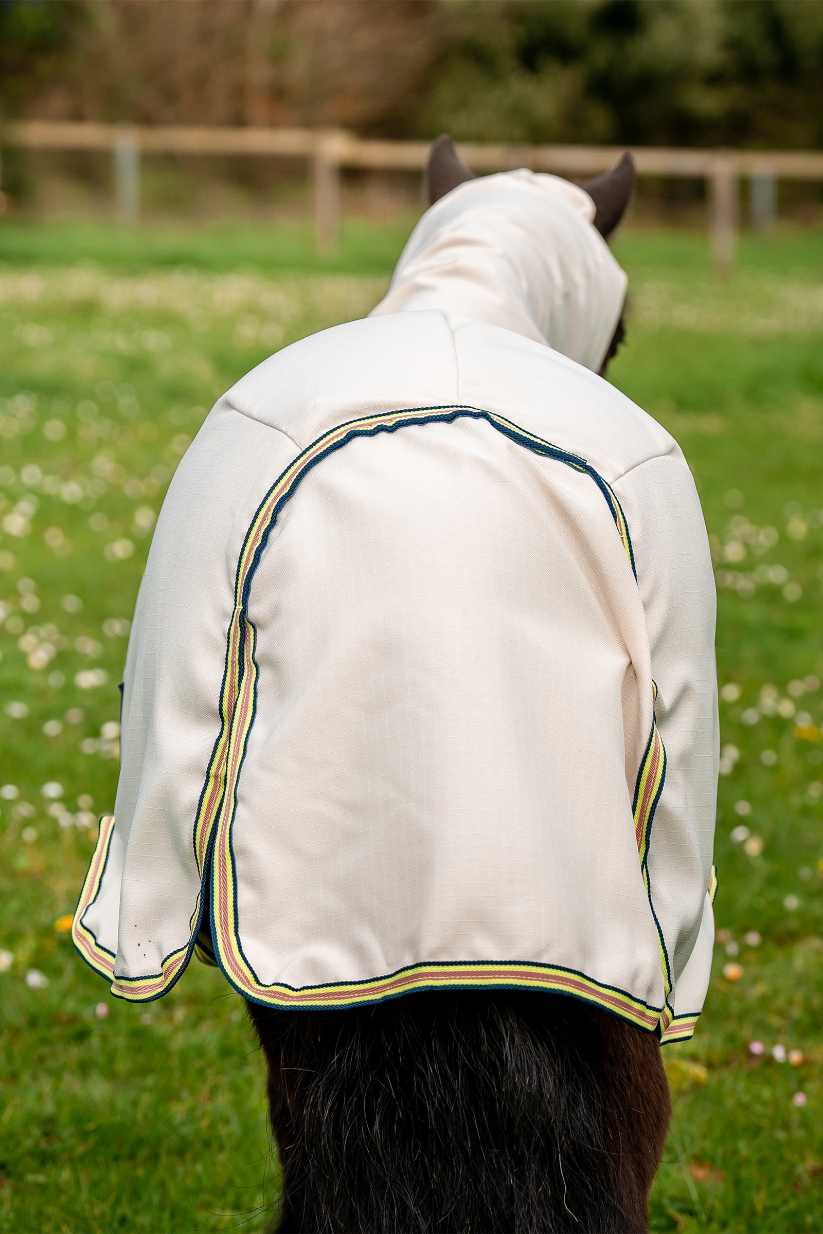 Horseware Amigo Ripstop Petite Hoody Horse Rugs