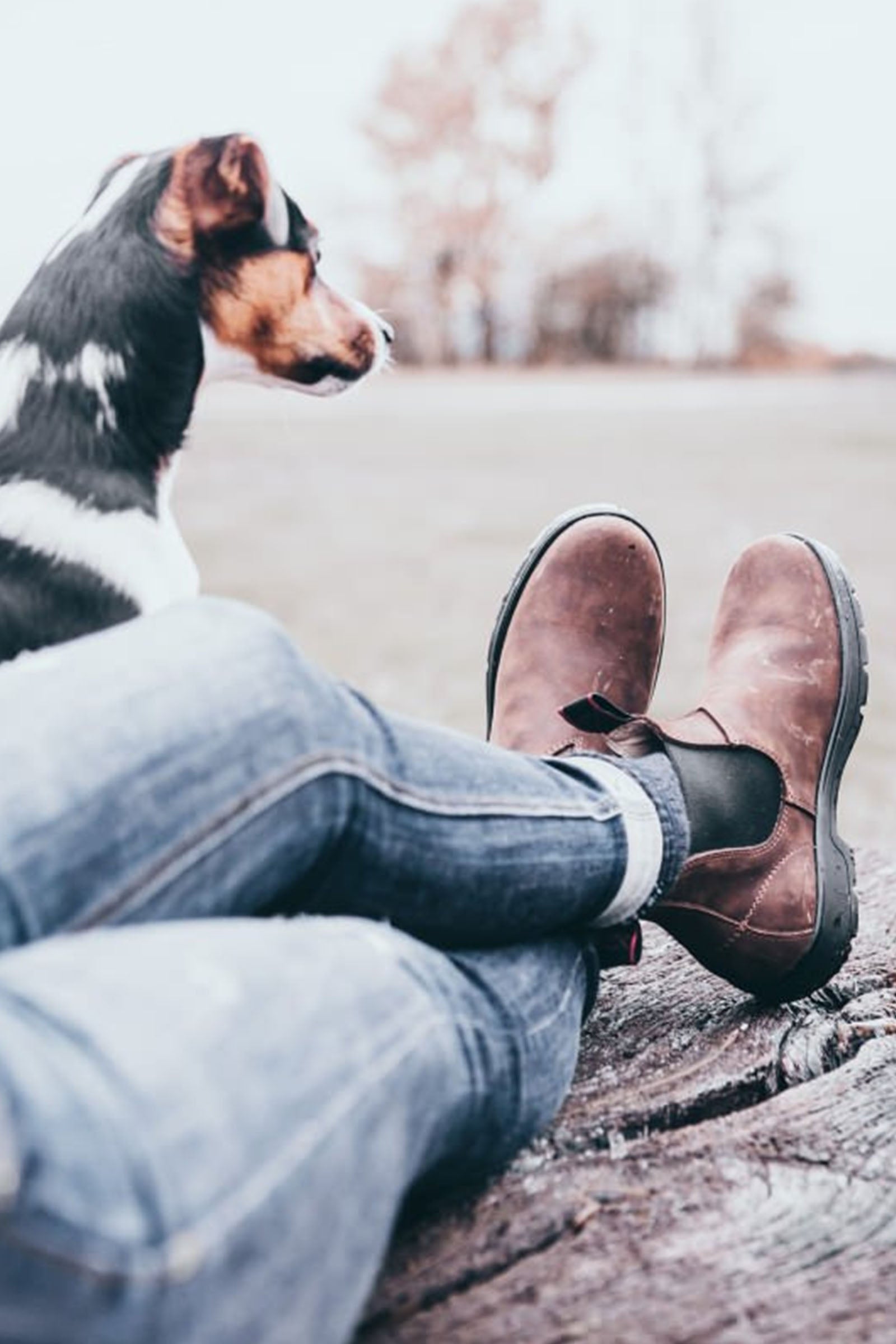 Suedwind Footwear 1888 Australian Classic Work Boots Riding Boots & Riding Shoes