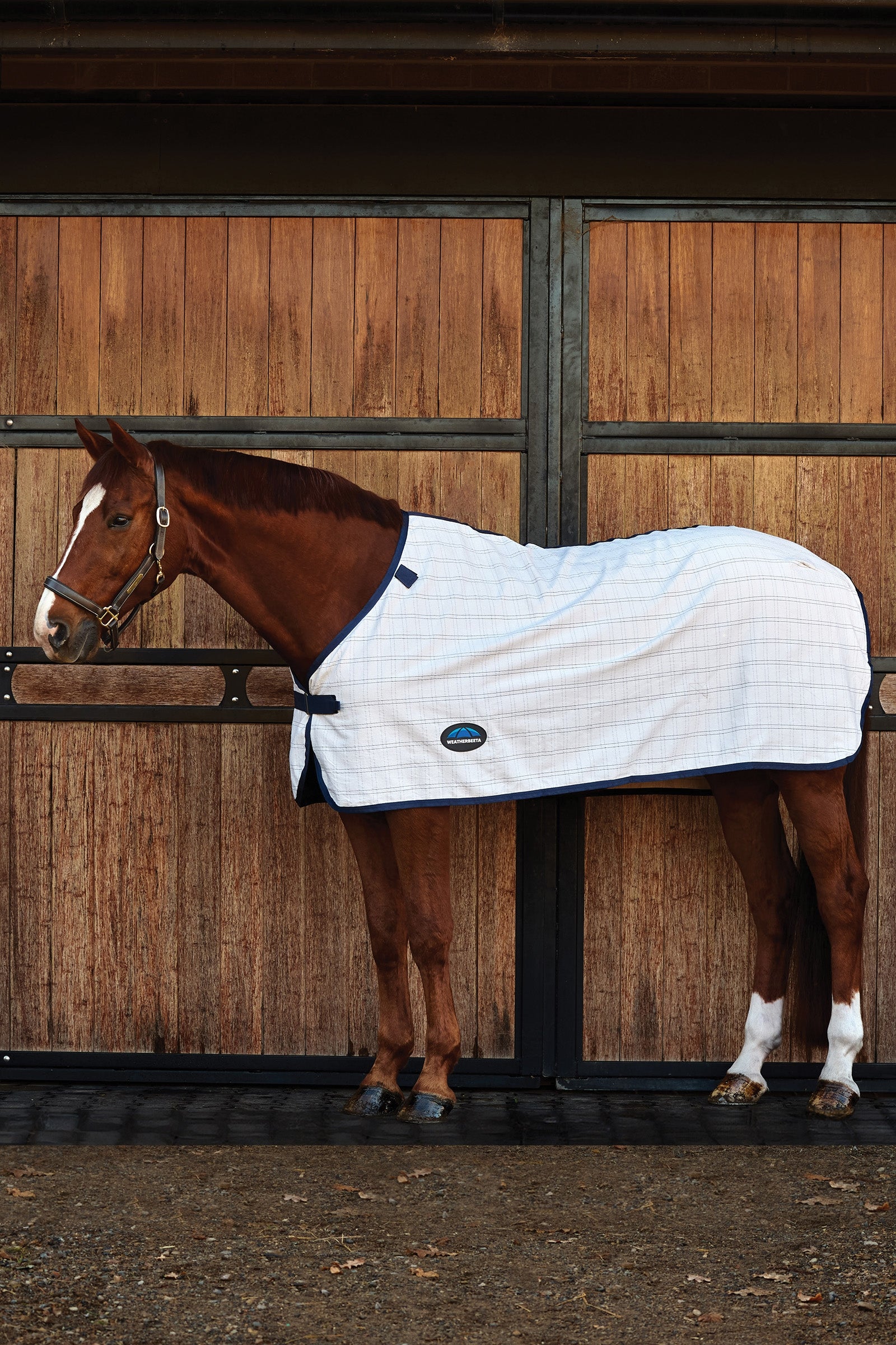 Weatherbeeta ComFiTec Cotton-Liner Mantas Caballo