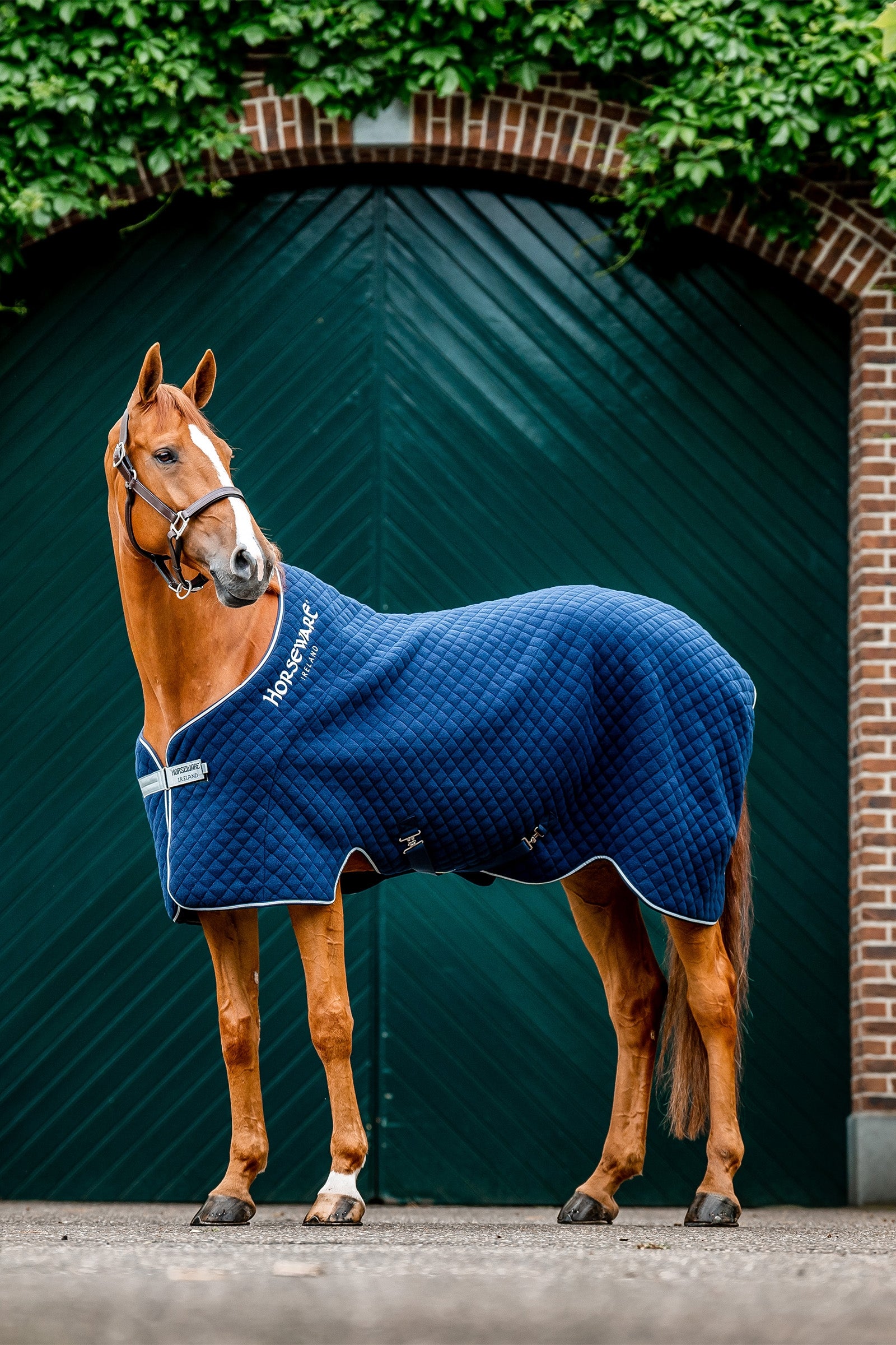 Horseware Manta de Secado para Otoño Mantas Caballo