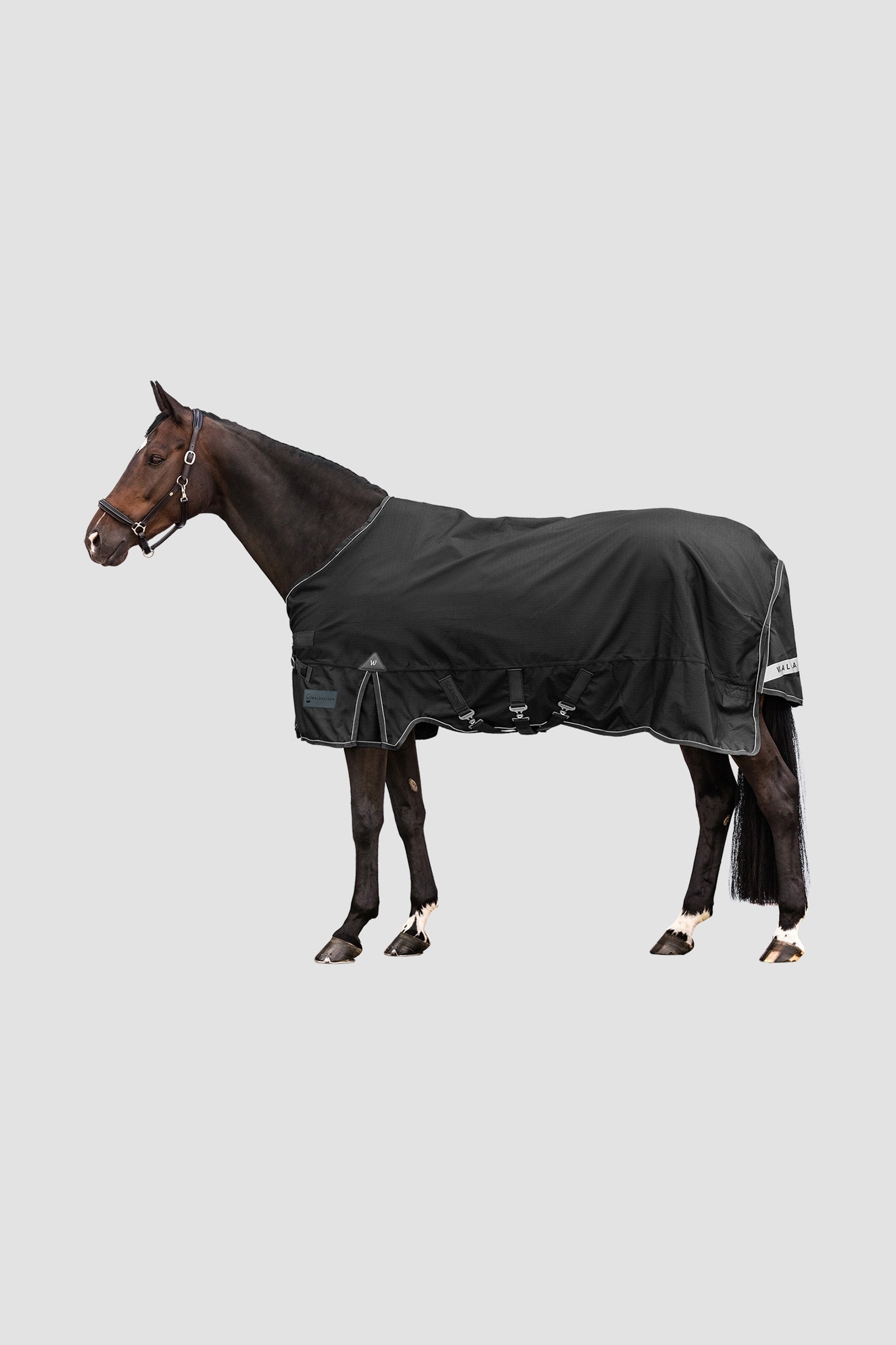 Waldhausen Outdoor Rug Scandic 300 g Mantas Caballo