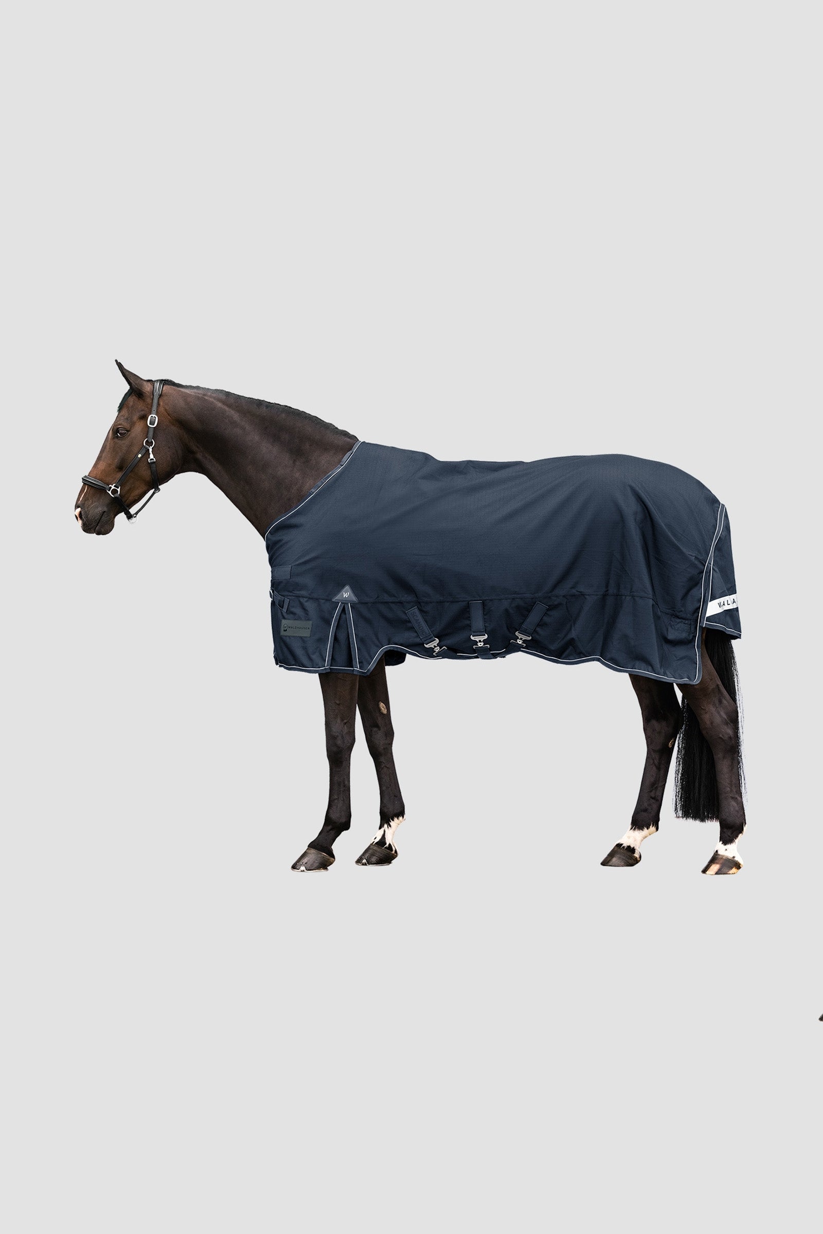 Waldhausen Outdoor Rug Scandic 300 g Mantas Caballo