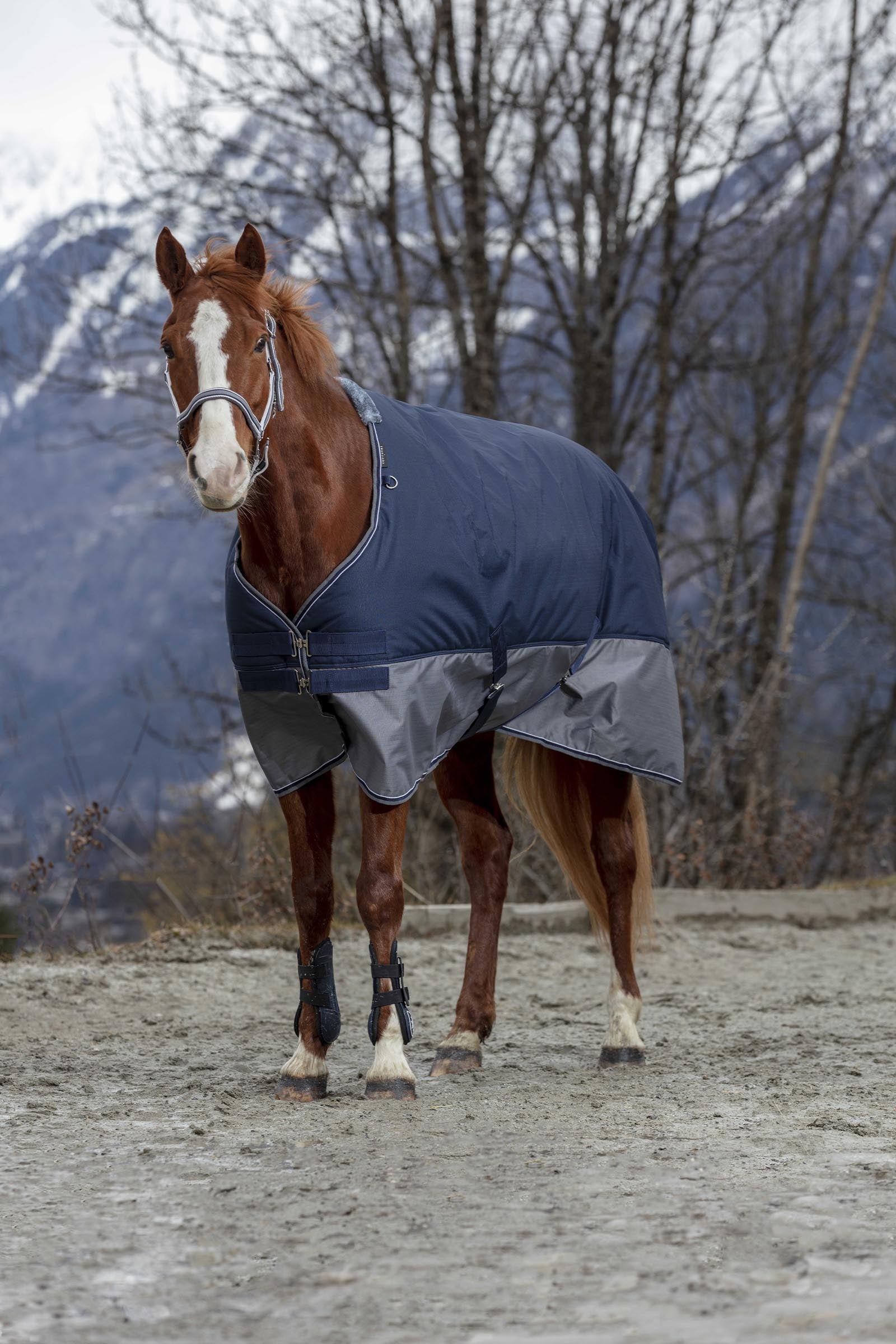 Equi Theme EQUITHÈME TYREX 600D Turnout Rug Fleece Lined Horse Rugs