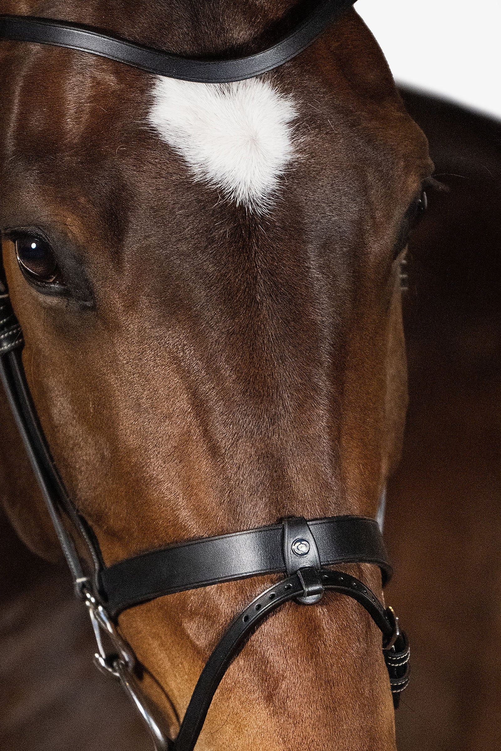 PS of Sweden London Bridle Bridles & Reins