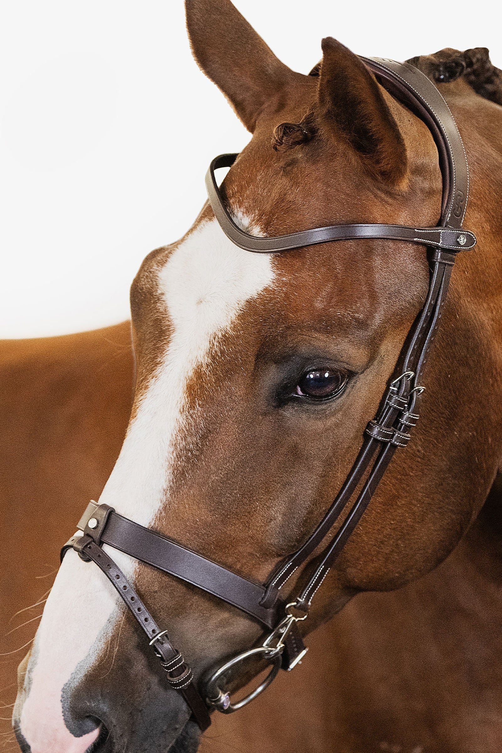 PS of Sweden London Bridle Cabezadas de montar & Riendas