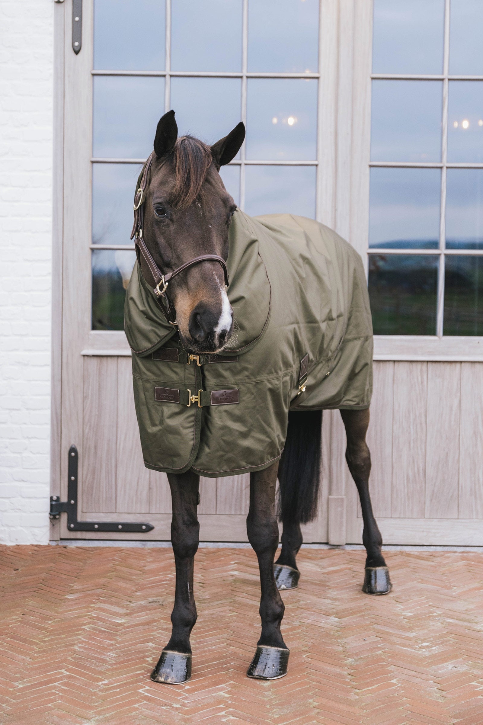 Kentucky Horsewear Turnout rug all weather waterproof pro 160g Horse Rugs