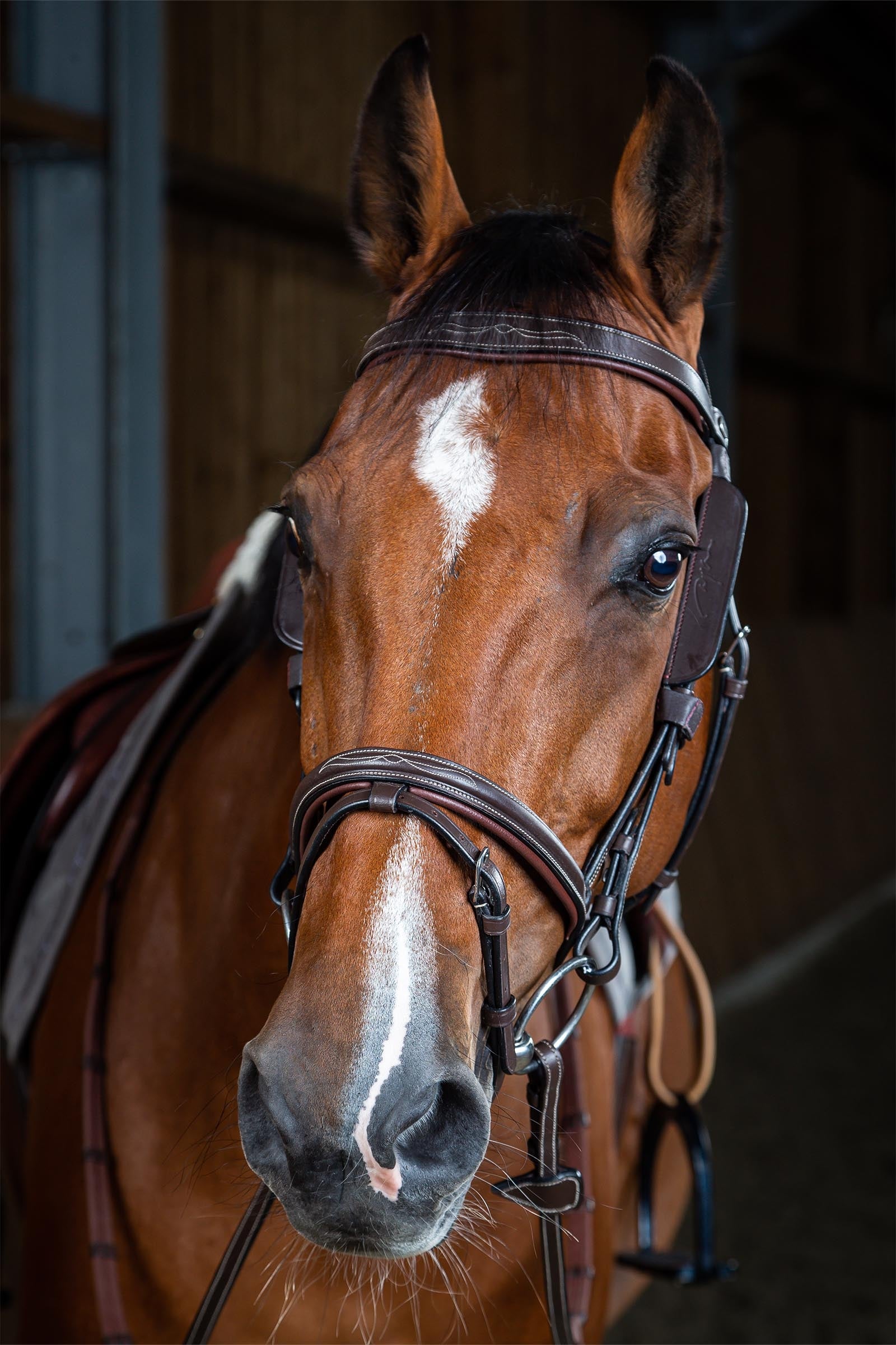 Dy'on Working Blinkers Bridles & Reins