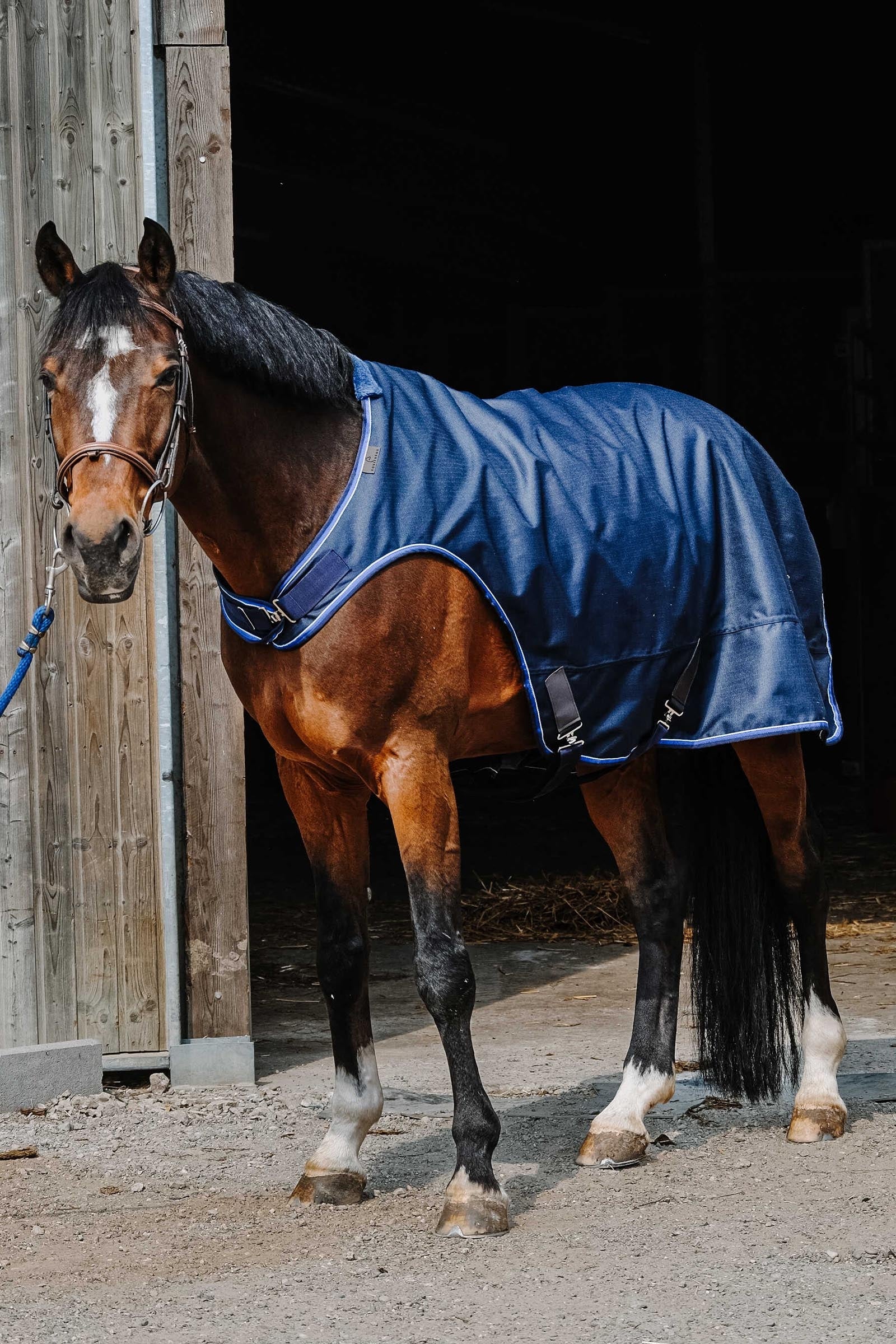 Equi Theme EQUITHÈME Classic 1200D Walker Sheet Horse Rugs