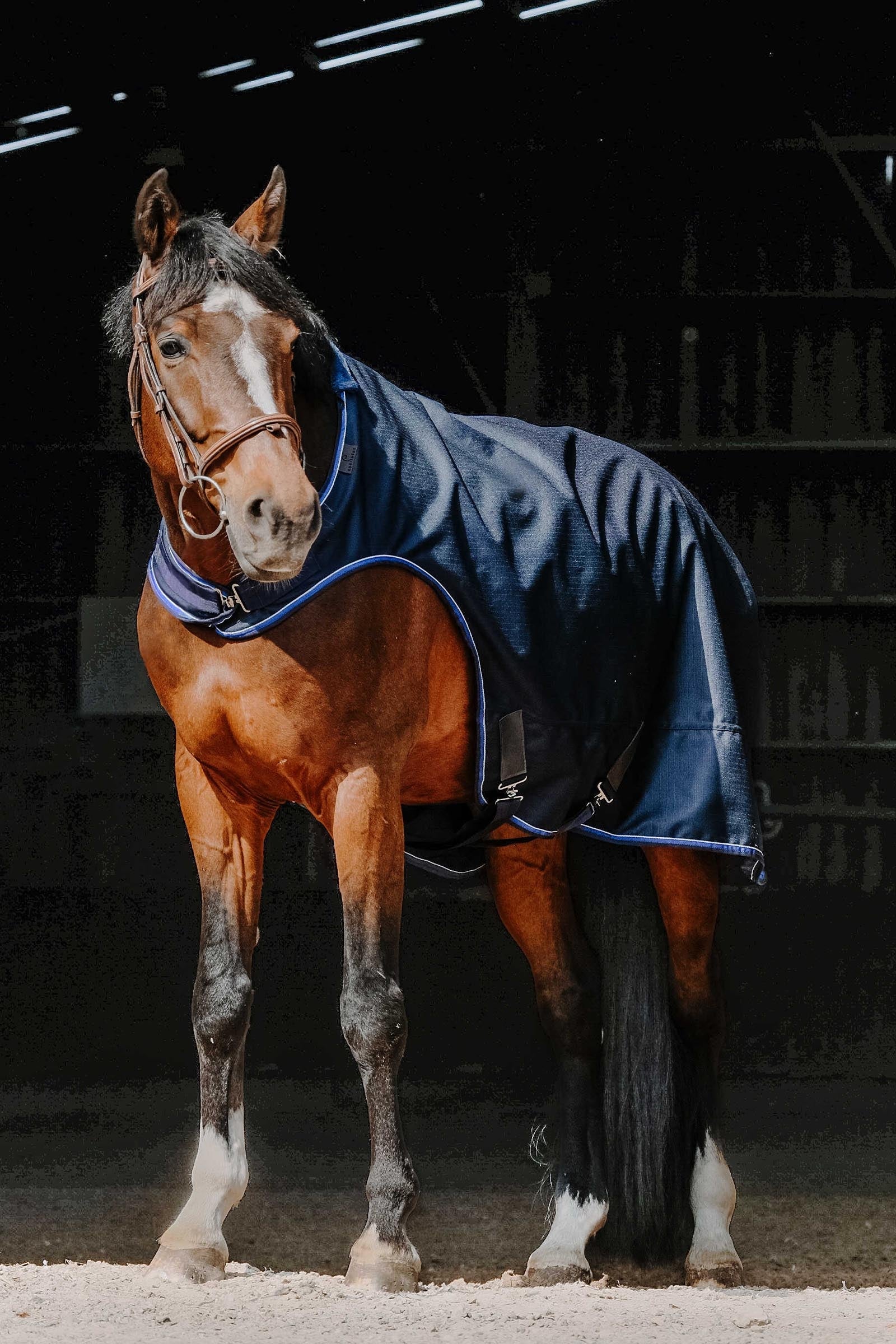 Equi Theme EQUITHÈME Classic 1200D Walker Sheet Horse Rugs