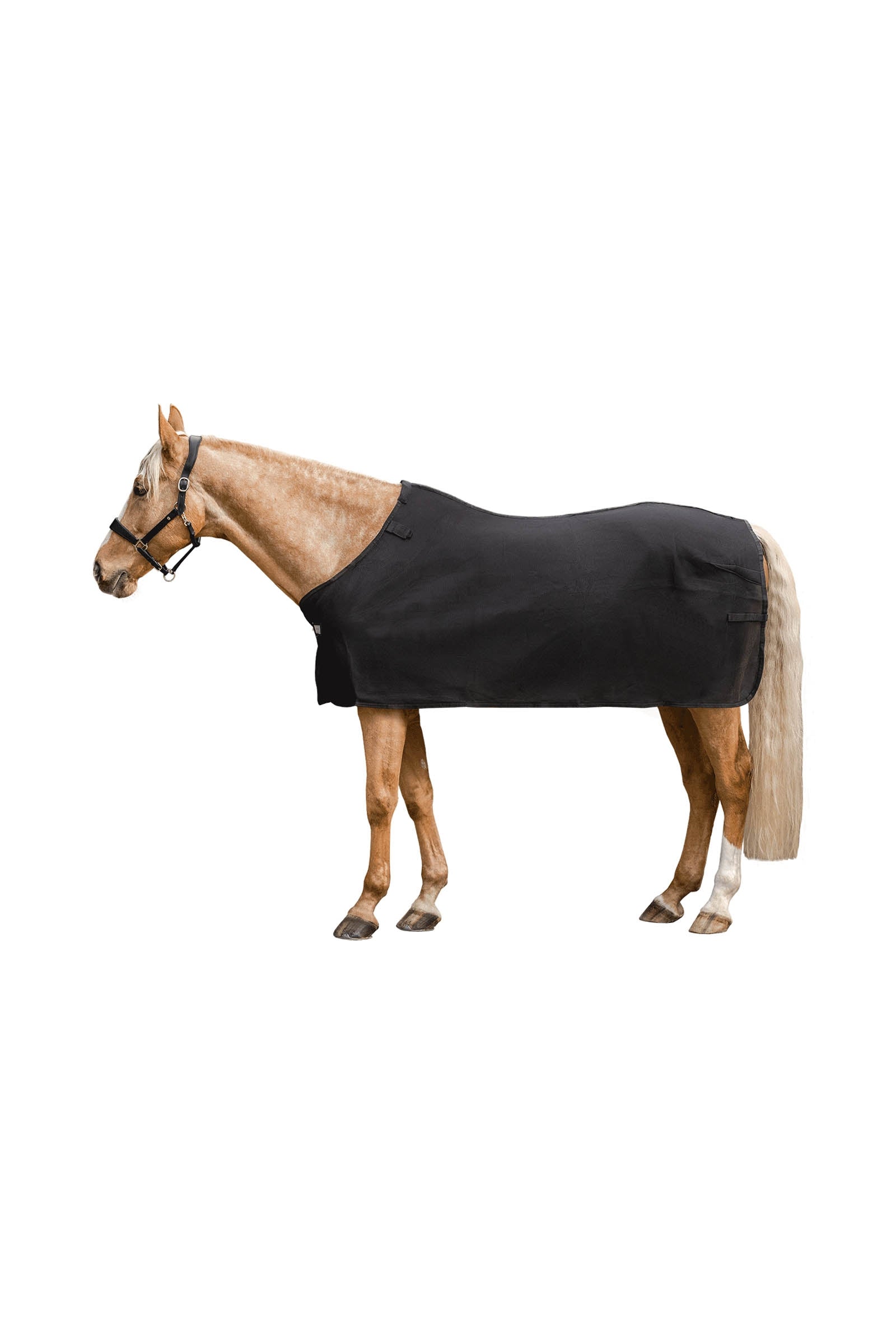 Waldhausen Air Mesh Underrug Mantas Caballo