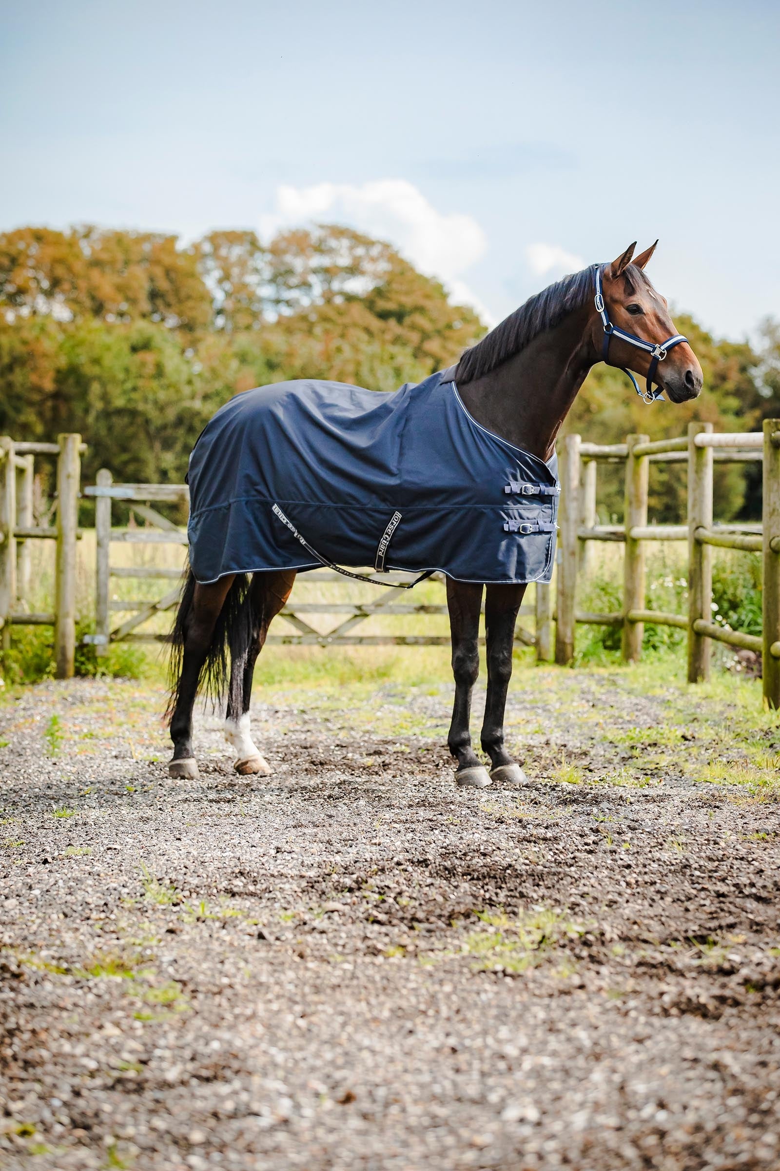 Horse Guard HorseGuard Landon 1200D Turnout Rug Standard Neck, 0 g Mantas Caballo