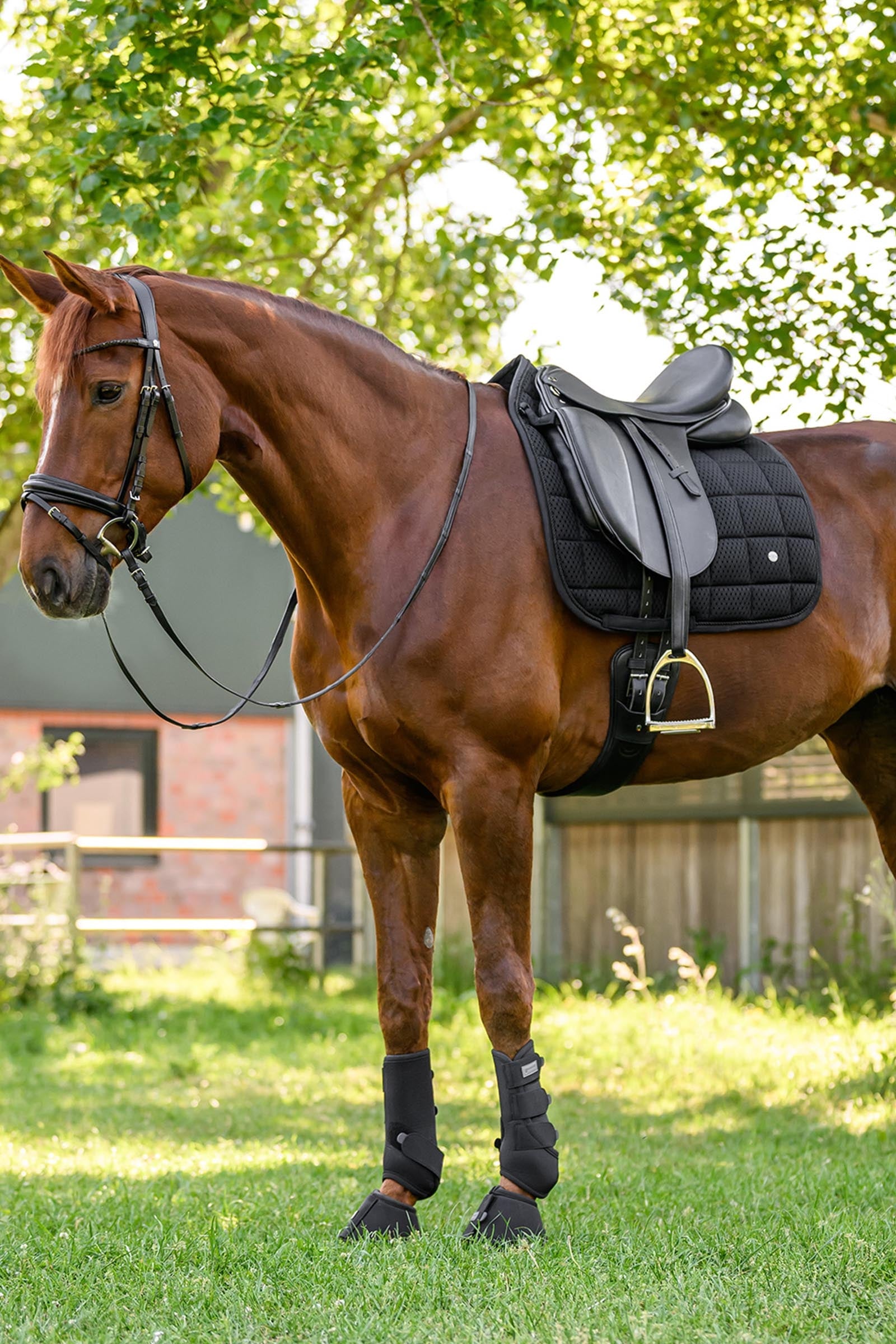 Waldhausen Breath Performance Dressage Saddle Pad Saddle Pads