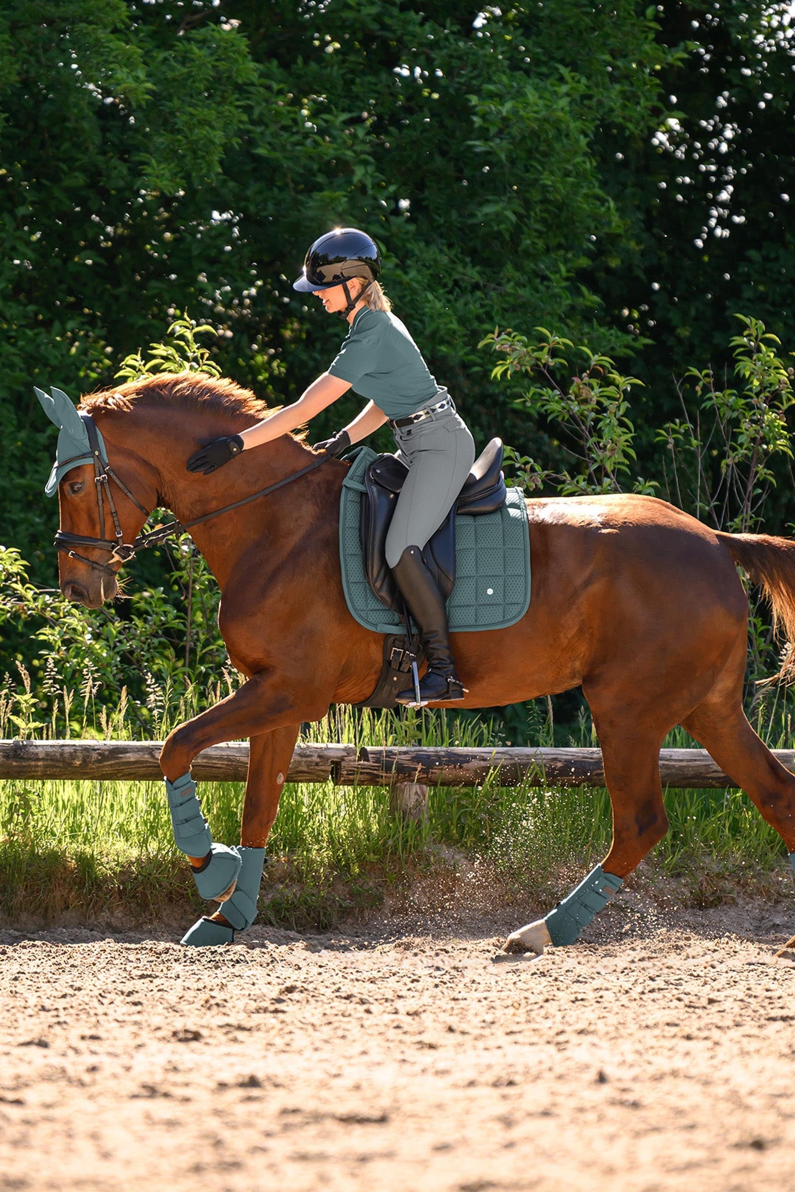 Waldhausen Breath Performance Dressage Saddle Pad Saddle Pads