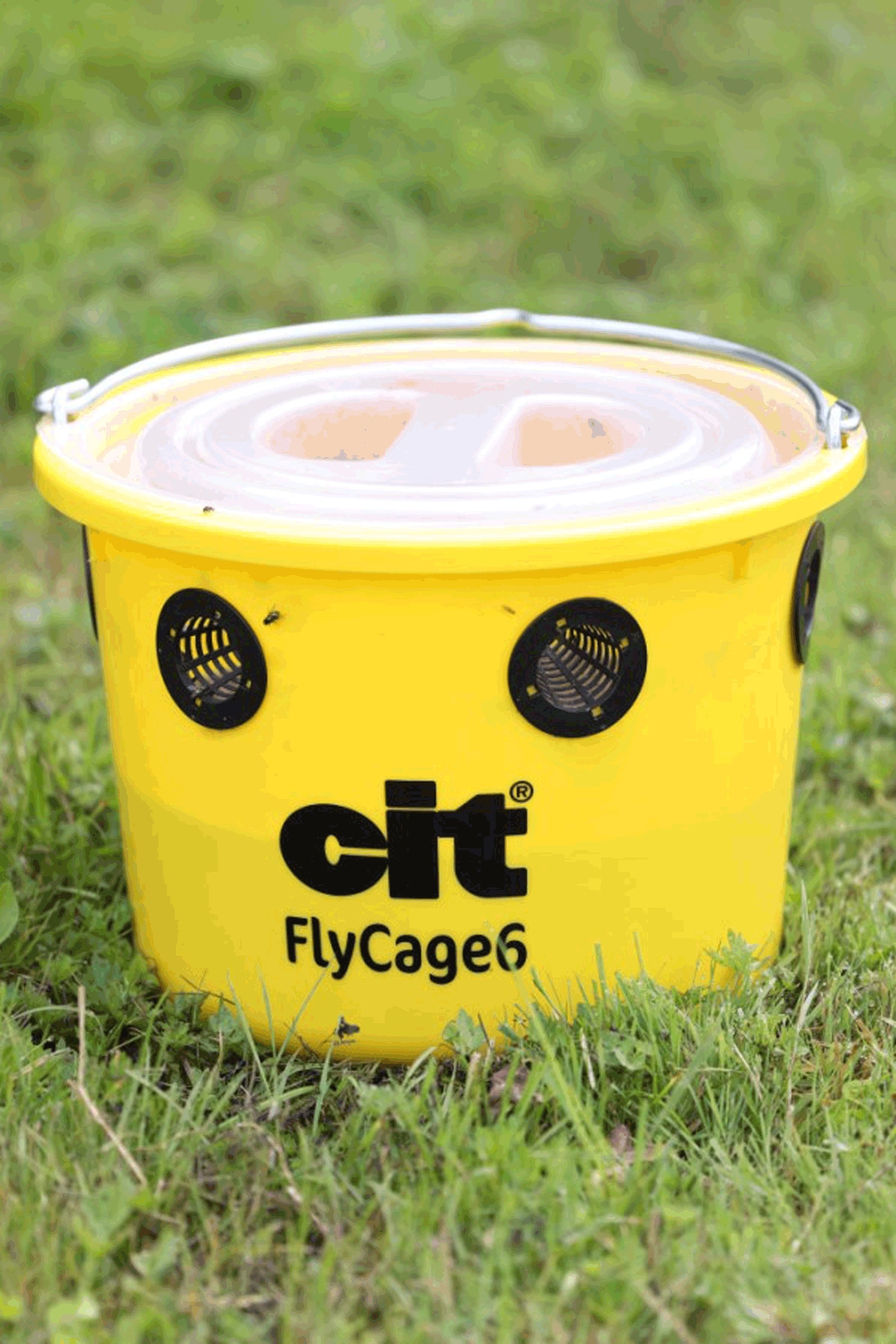 Kerbl Cit FlyCage 6 Fly Trap, Set incl. 750 g Attractant Antifly Protection for Horses