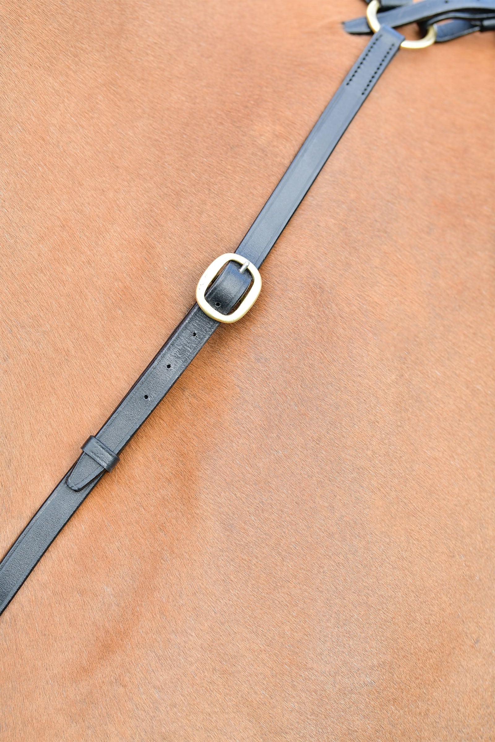 Kincade Classic 3 Point Breastplate With Running Martingale Bridles & Reins