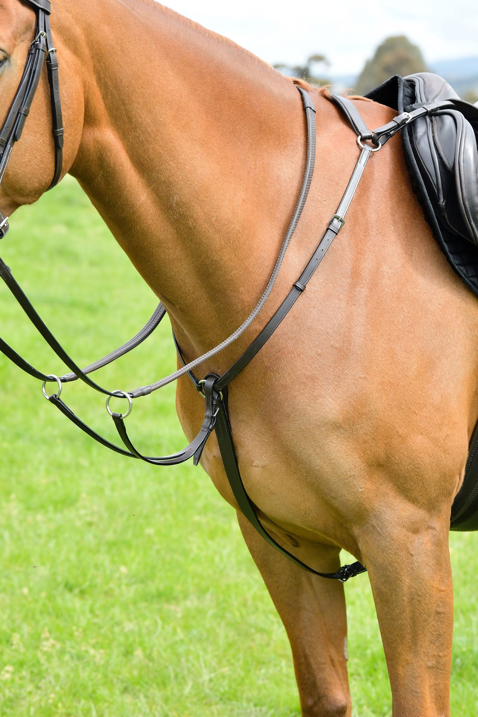 Kincade Classic pechopetral de 3 puntos con martingala corrediza Cabezadas de montar & Riendas