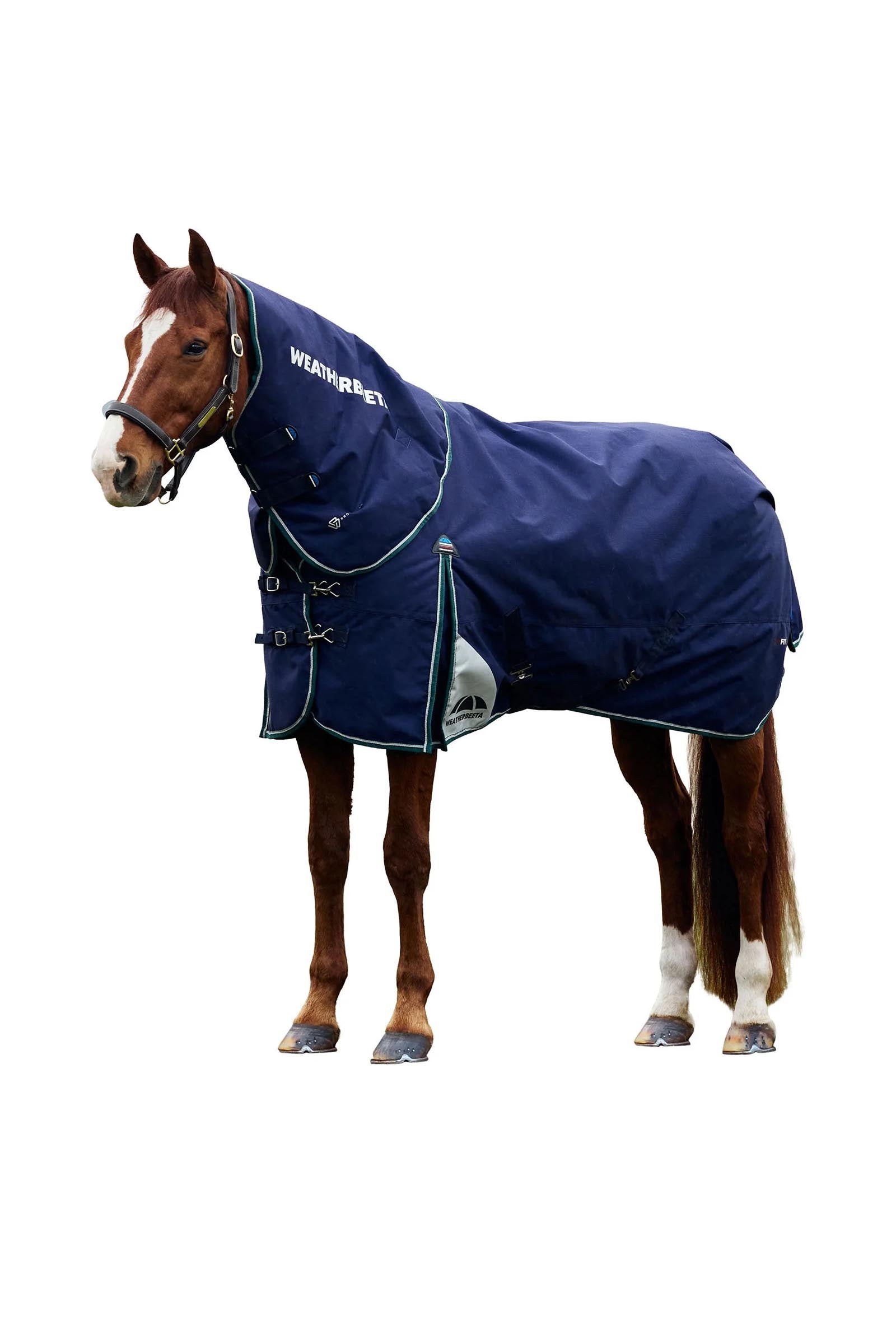 Weatherbeeta Manta desmontable para el cuello Comfitec Plus Dynamic de 360 g Mantas Caballo