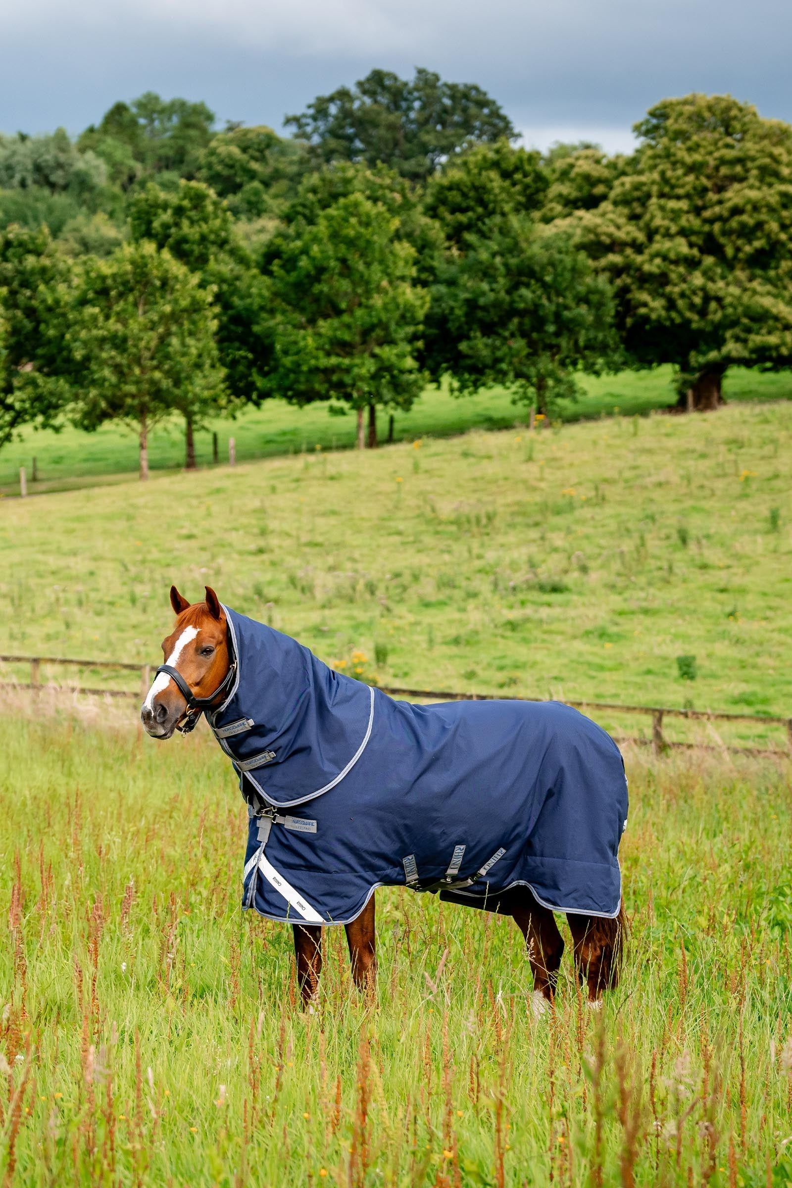 Horseware Rhino Plus Turnout Lite incl. detachable neck, 100g Horse Rugs
