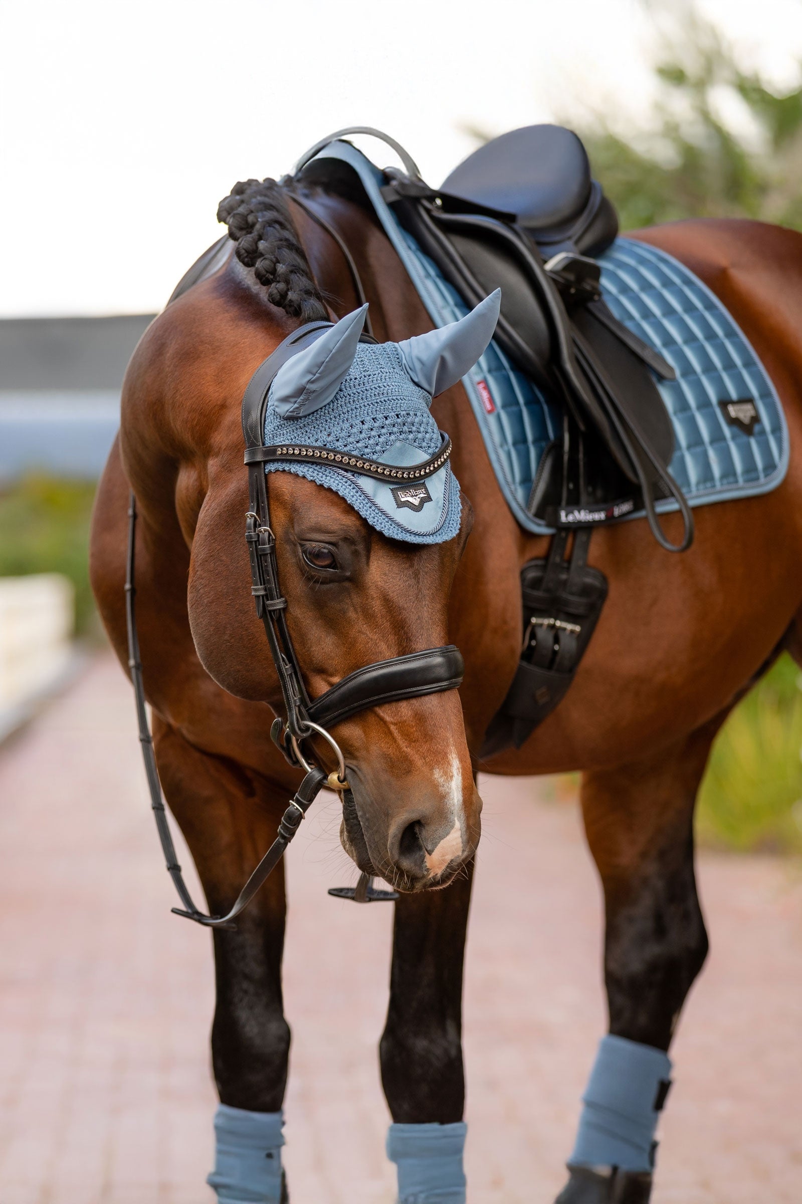 LeMieux Loire Fly Hood Saddle Pads