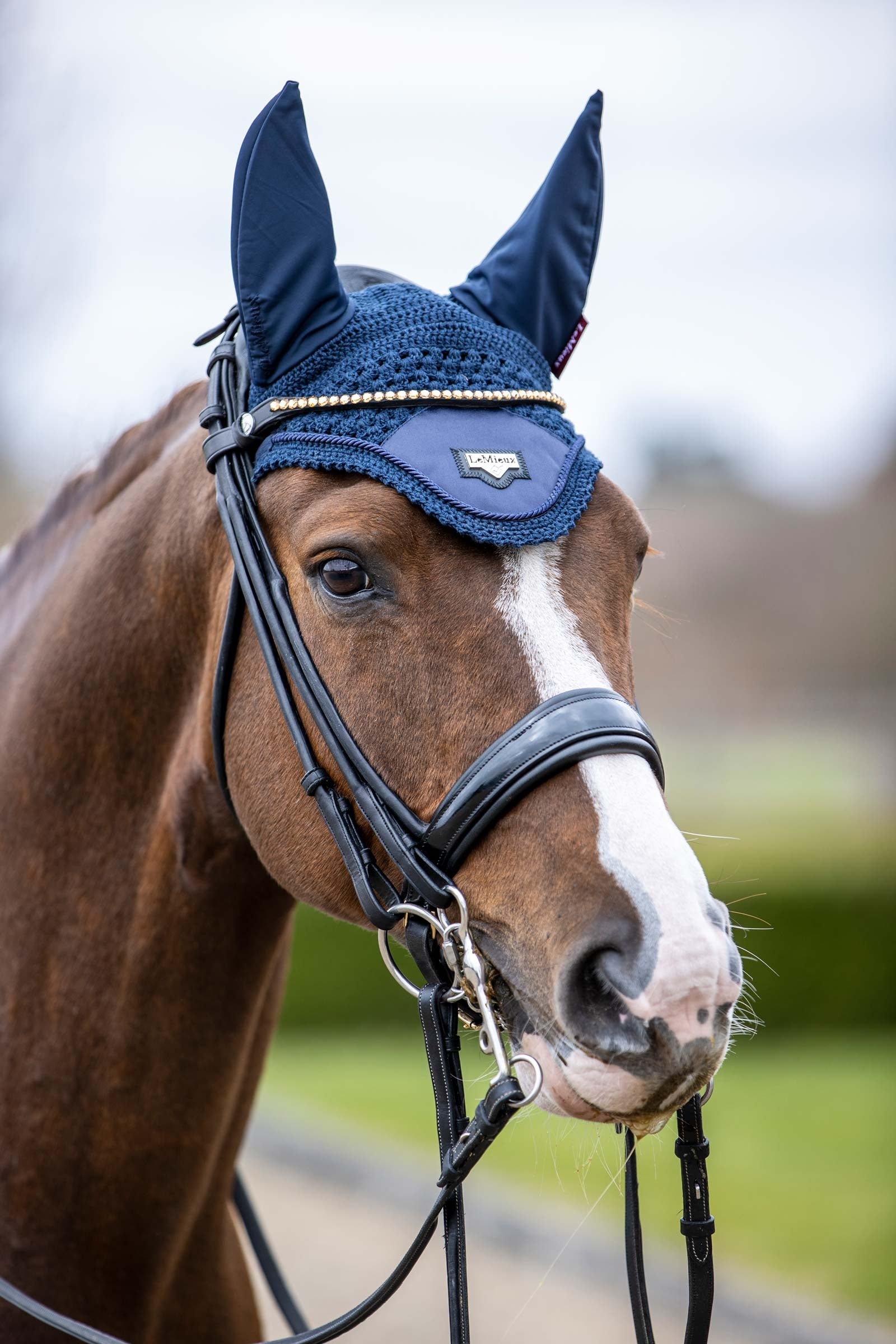 LeMieux Loire Fly Hood Saddle Pads