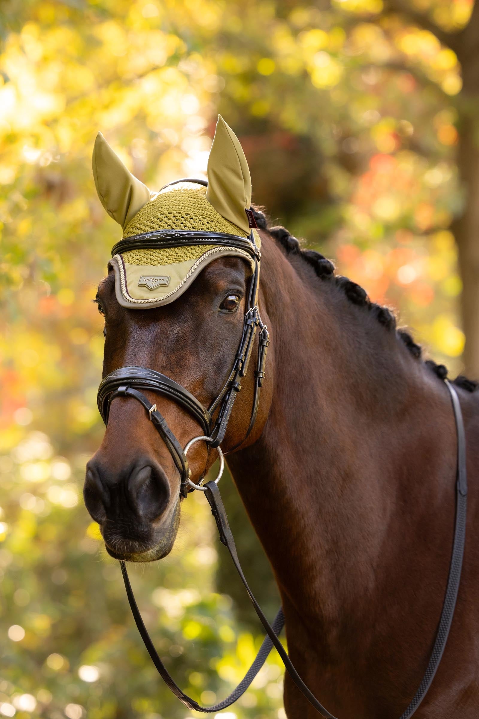 LeMieux Loire Fly Hood Saddle Pads