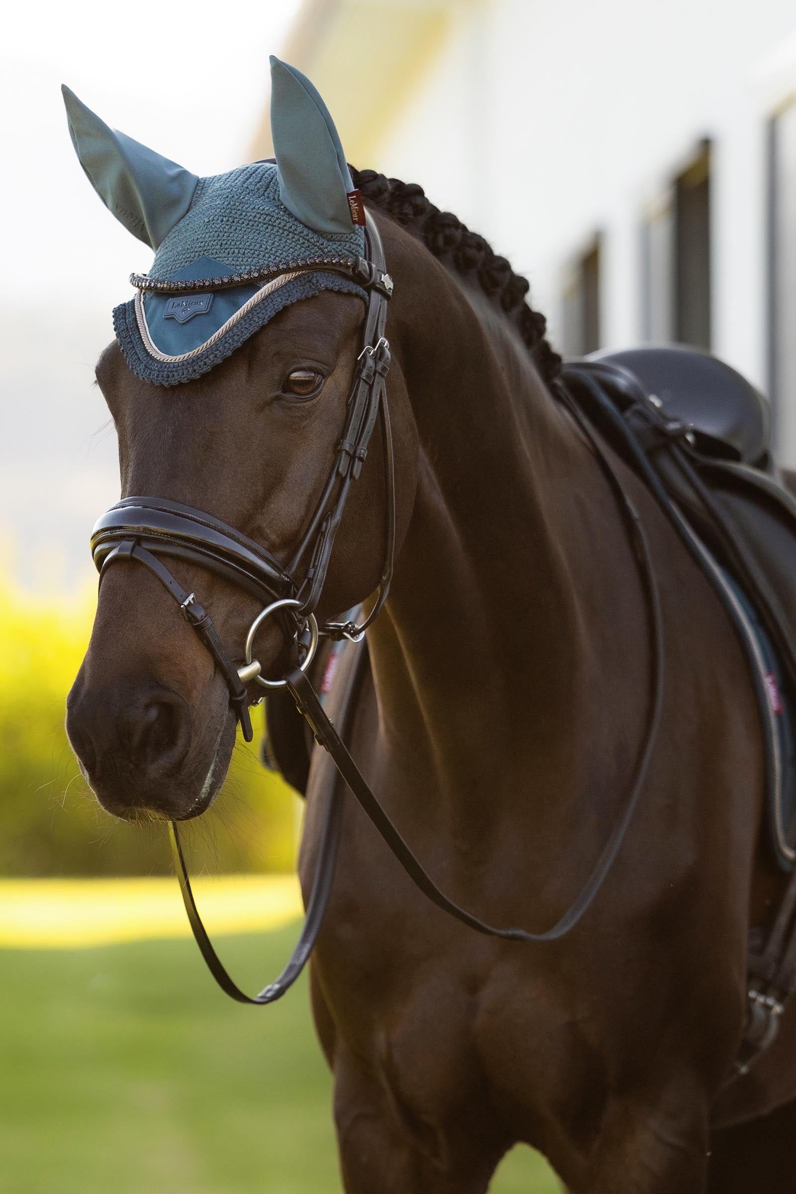 LeMieux Loire Fly Hood Saddle Pads