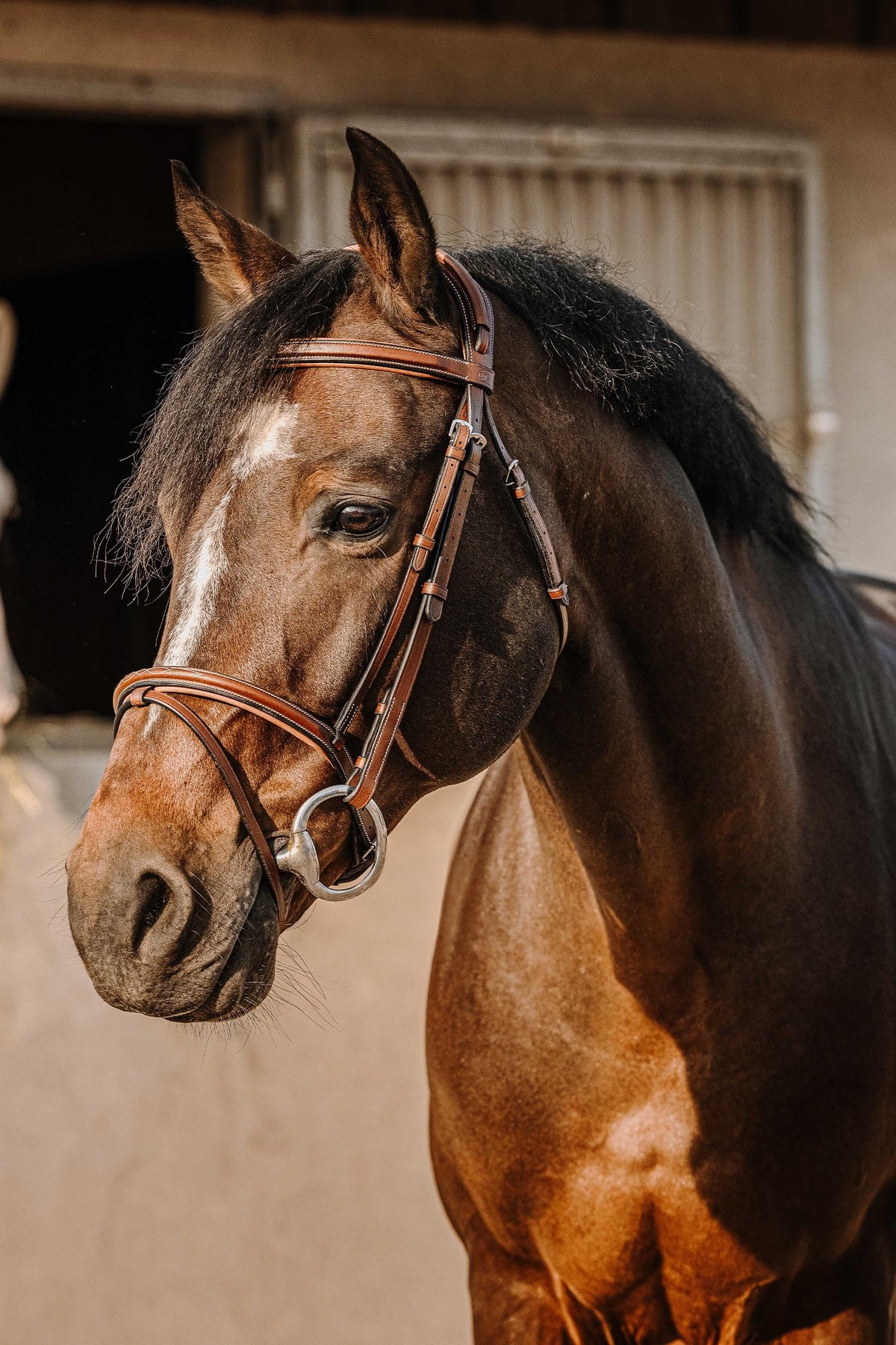 ERIC THOMAS Crown Bridle Bridles & Reins