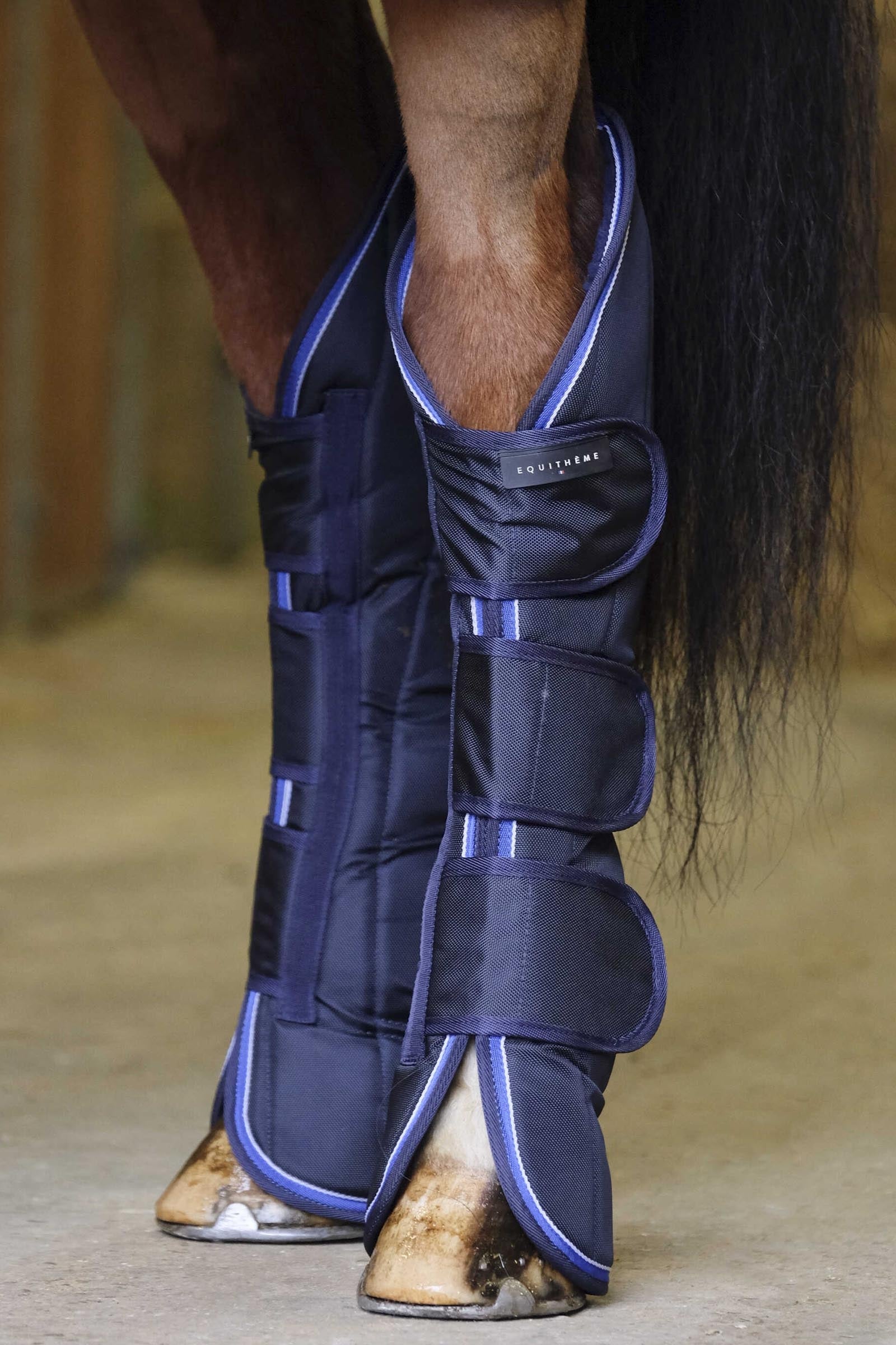 EQUITHÈME TYREX 1680D protectores de transporte Leg & Hoof Protection