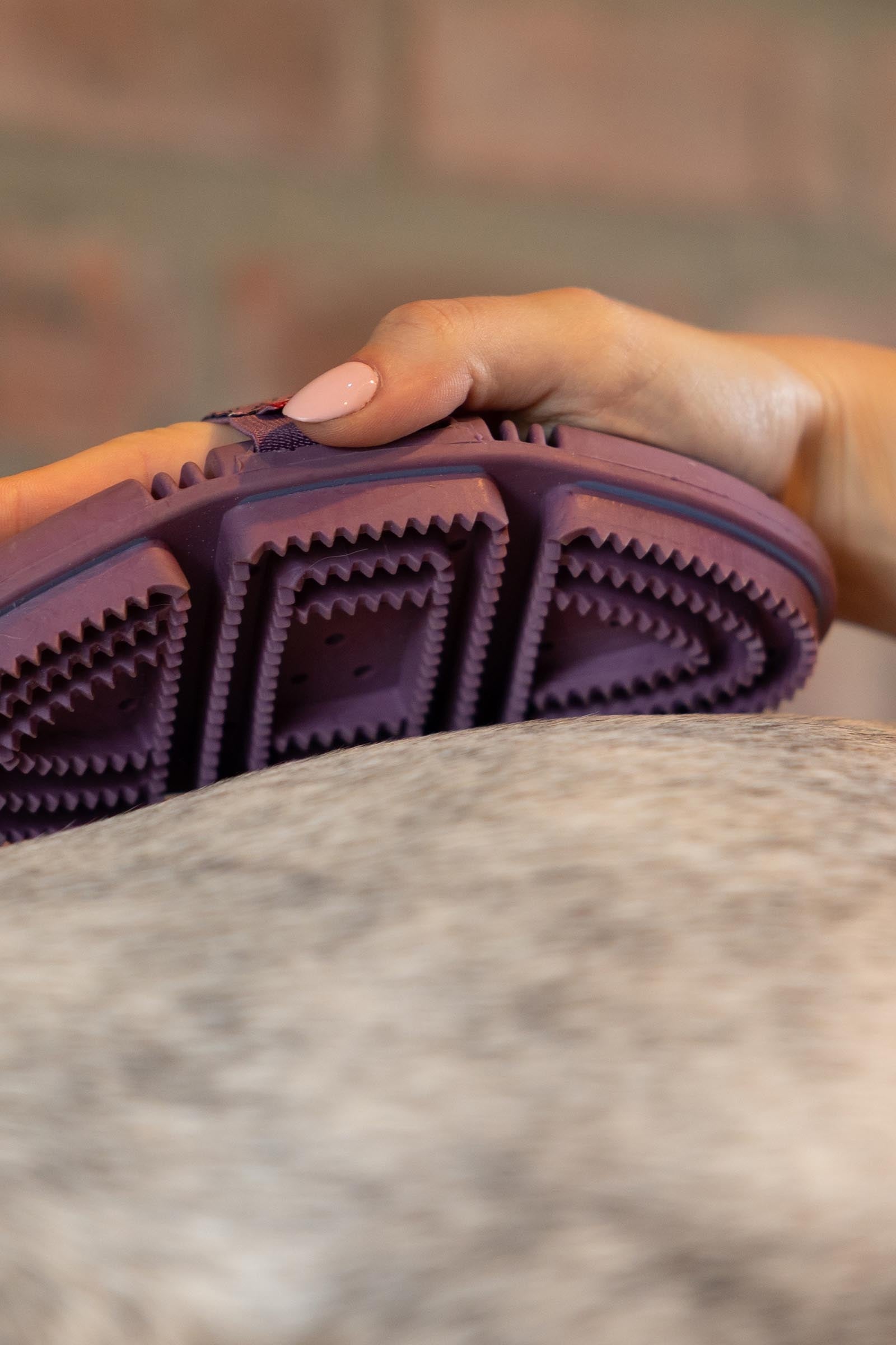 LeMieux Flexi Curry Comb Horse Grooming Tools