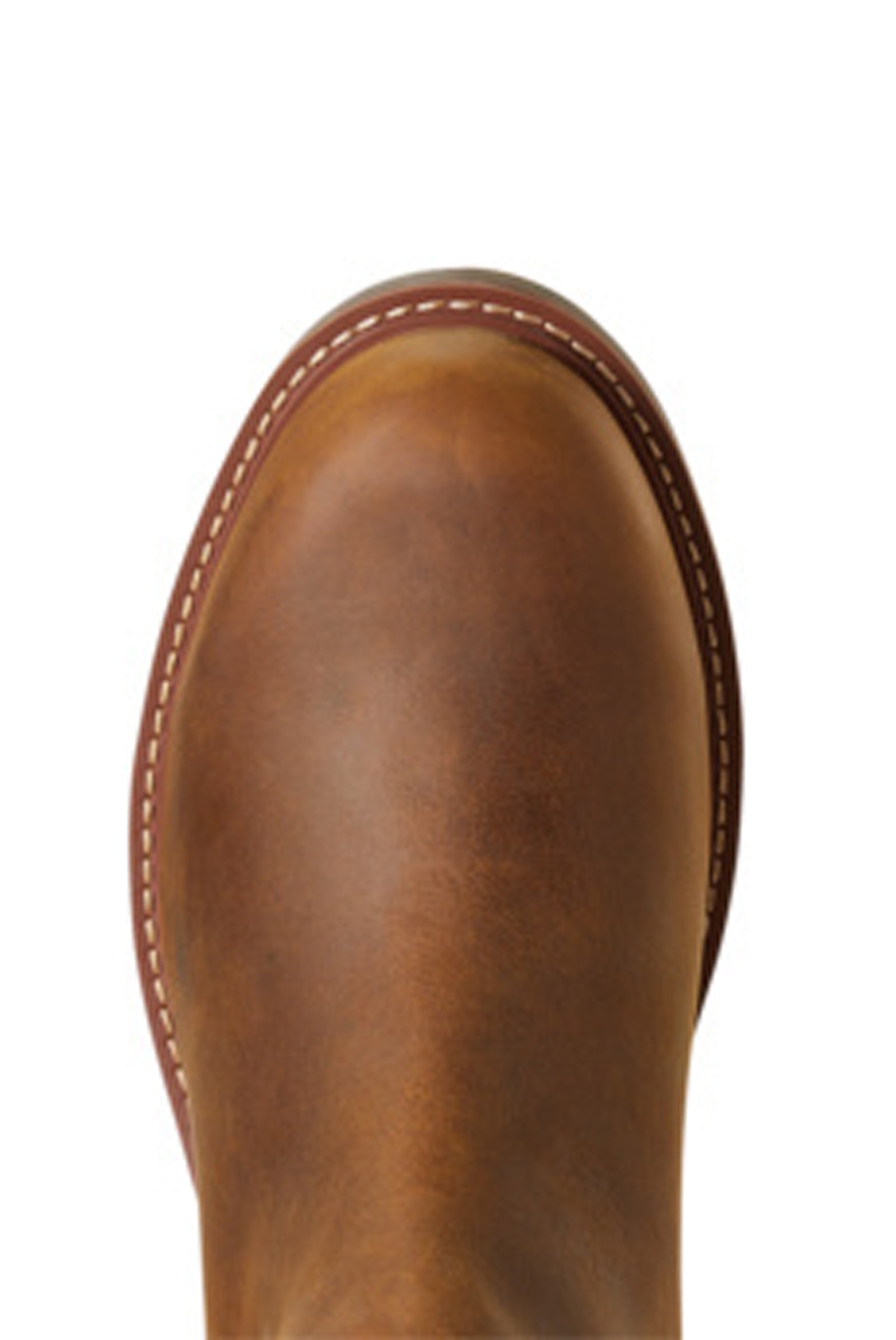 Ariat Men's Wexford Waterproof Boots Riding Boots & Riding Shoes