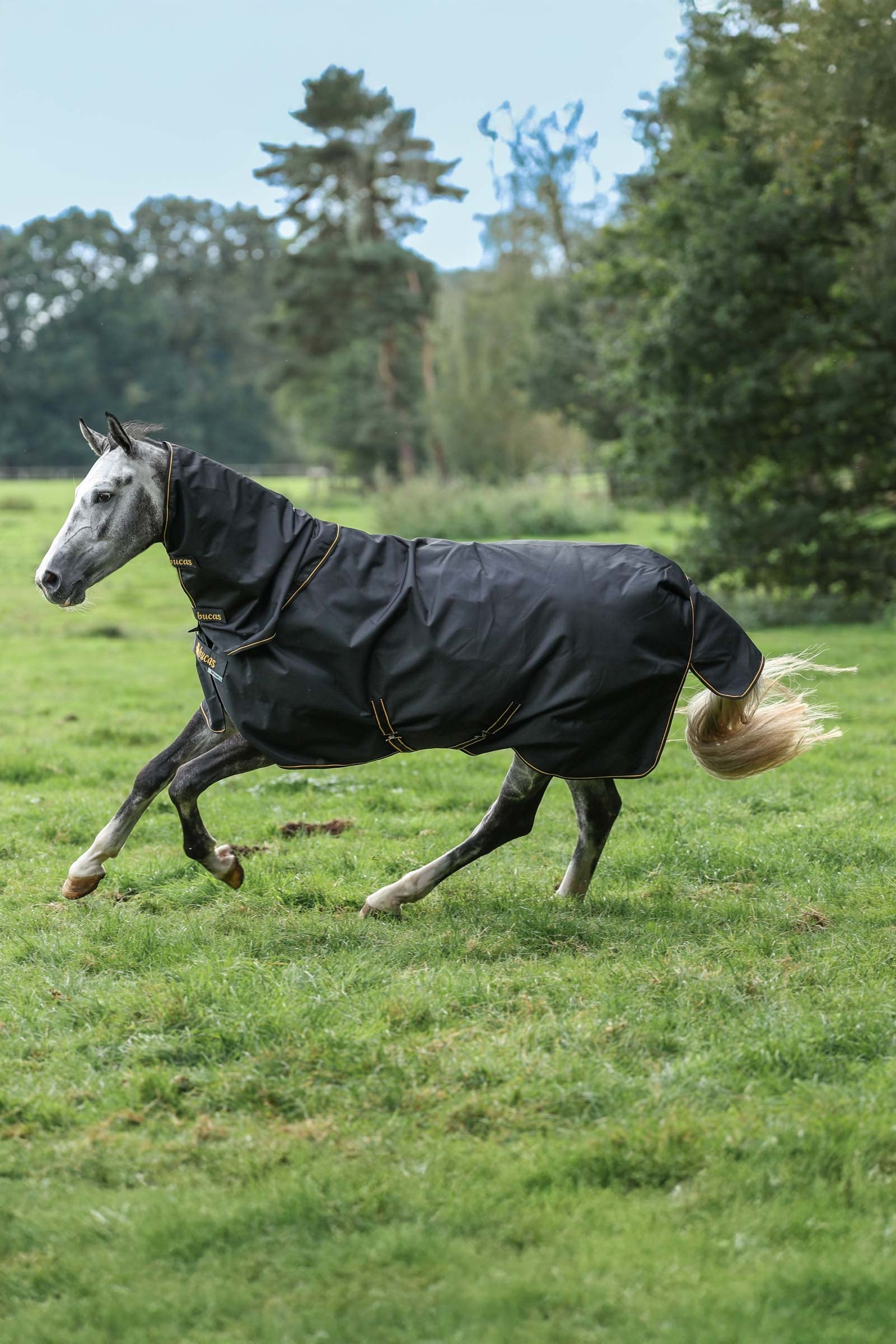 Bucas Irish Turnout 150 g Rug & Neck Set Mantas Caballo