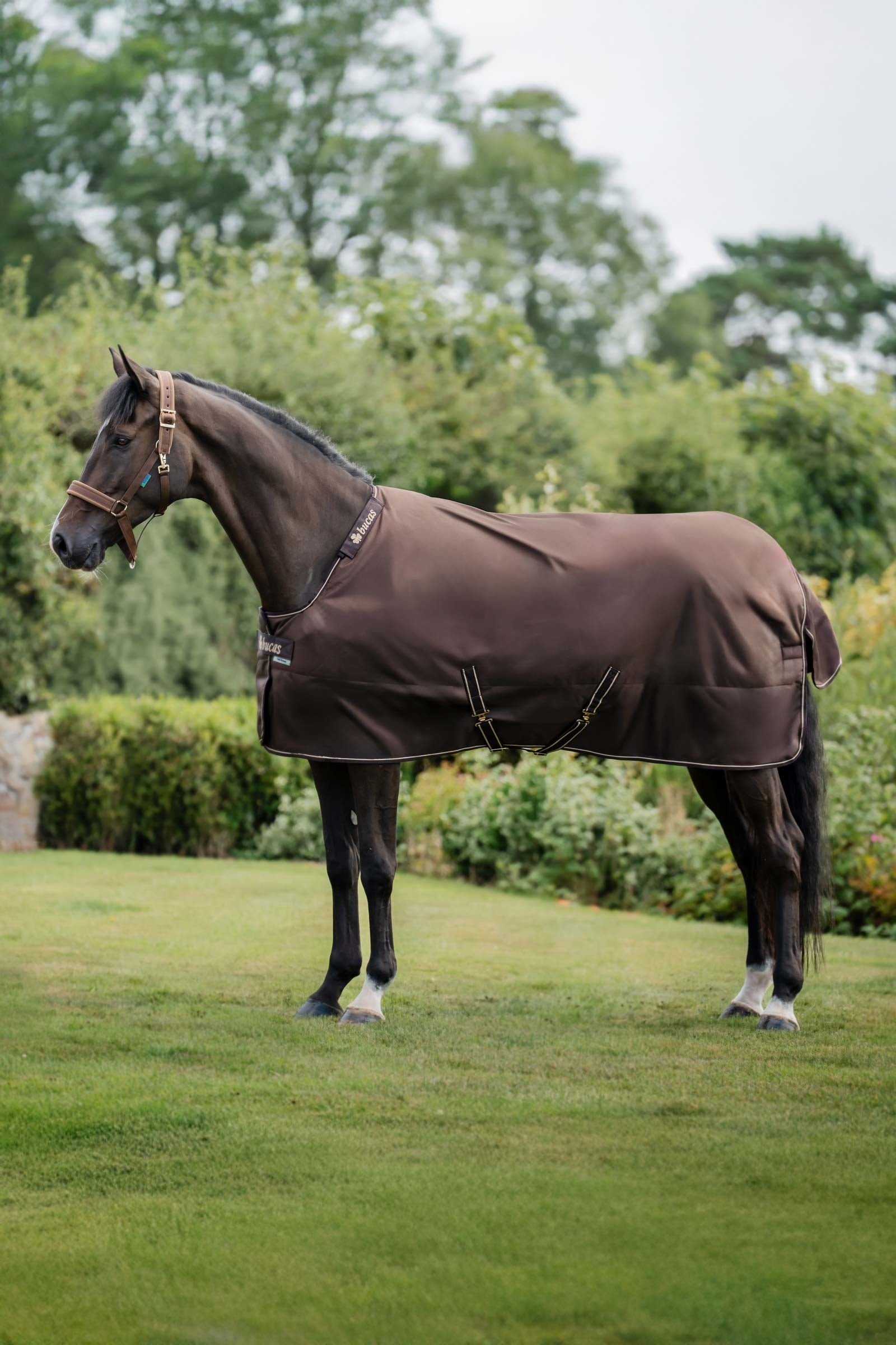 Bucas Irish Turnout 150 g Rug & Neck Set Mantas Caballo