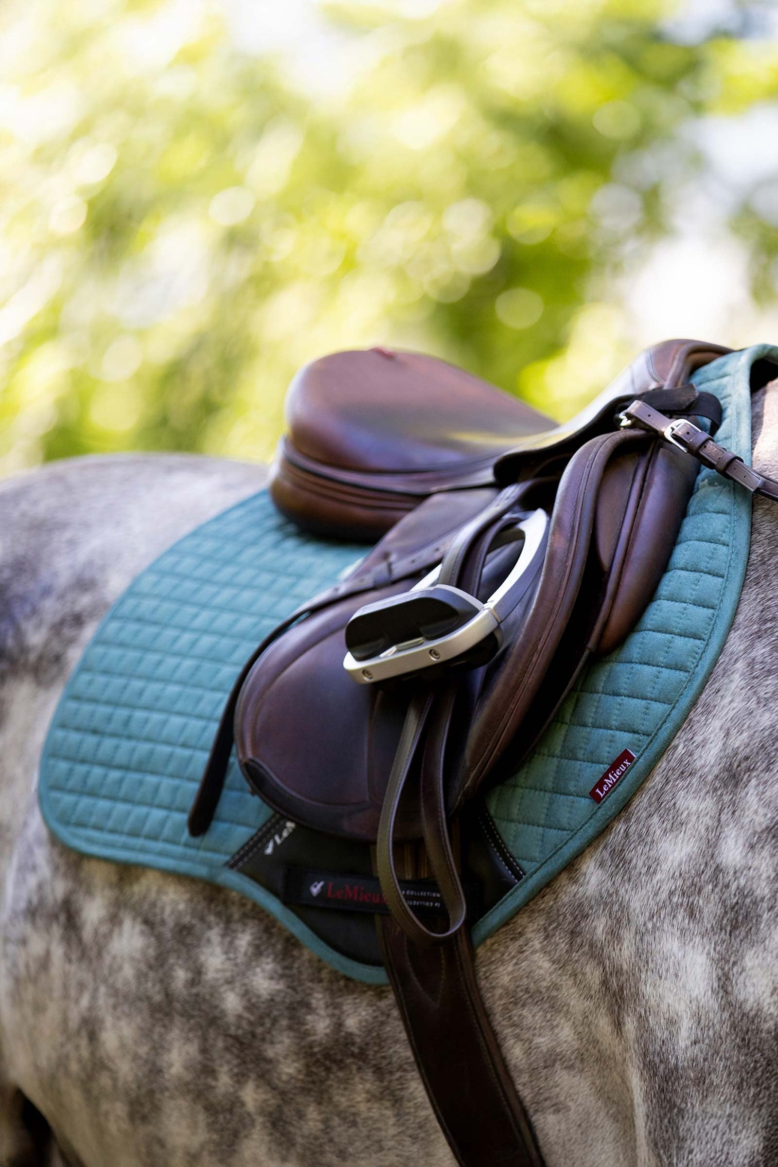 LeMieux Seasonal Luxury CC Jumping Saddle Pad Saddle Pads