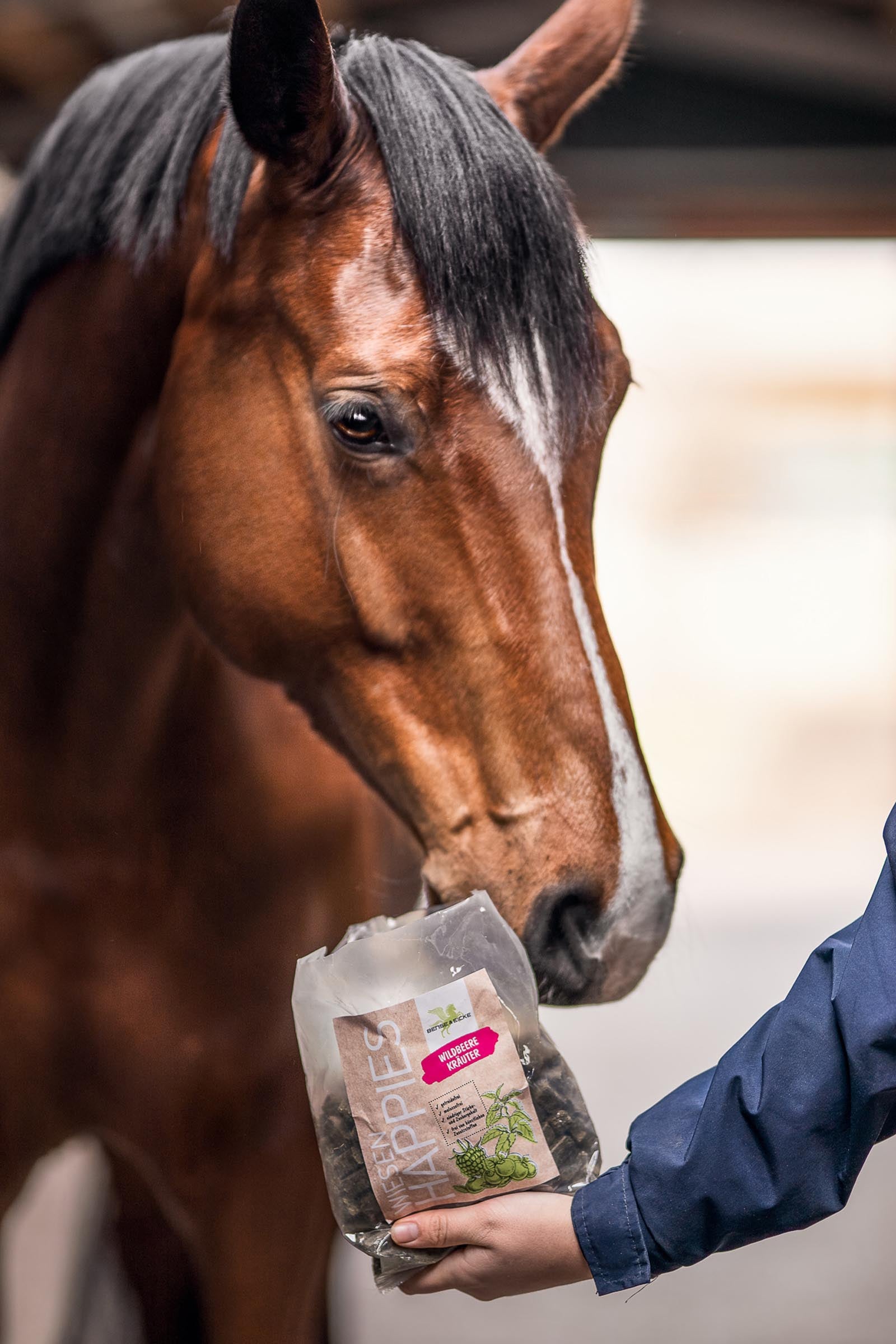 Bense & Eicke Meadow Happies Wild Berry Herbs, 1 kg Horse Feed & Nutrition