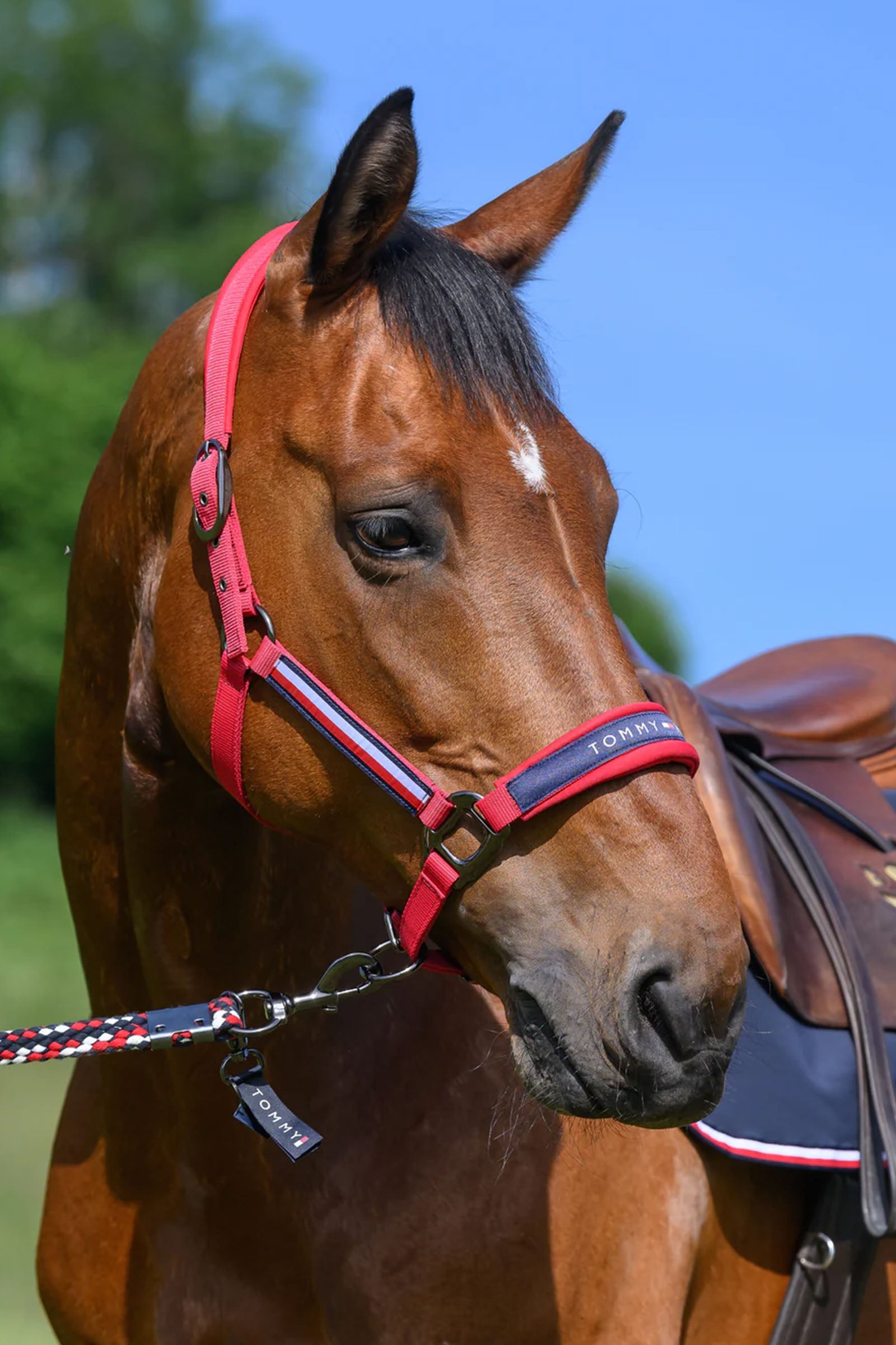 Tommy Hilfiger Equestrian Yale Set Halter and Rope Halters & Leads