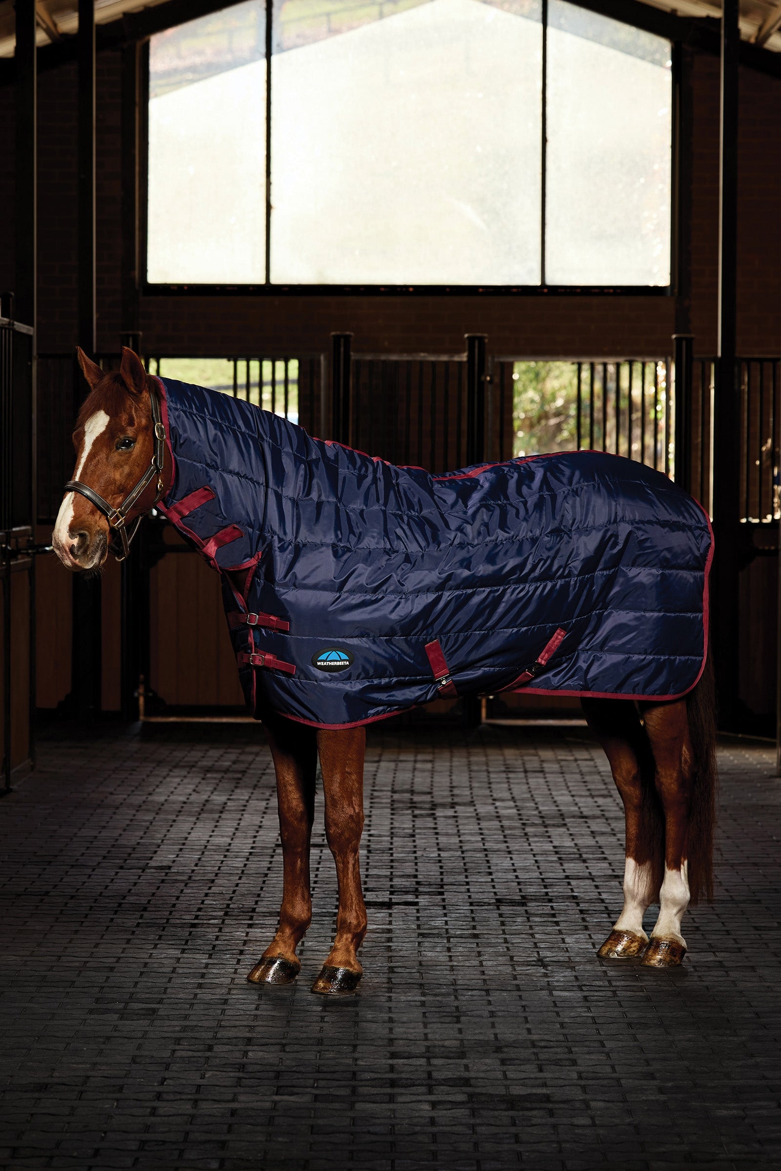 Weatherbeeta ComFiTec 210D Channel Quilt Stable Rug Combo Neck 220G Mantas Caballo