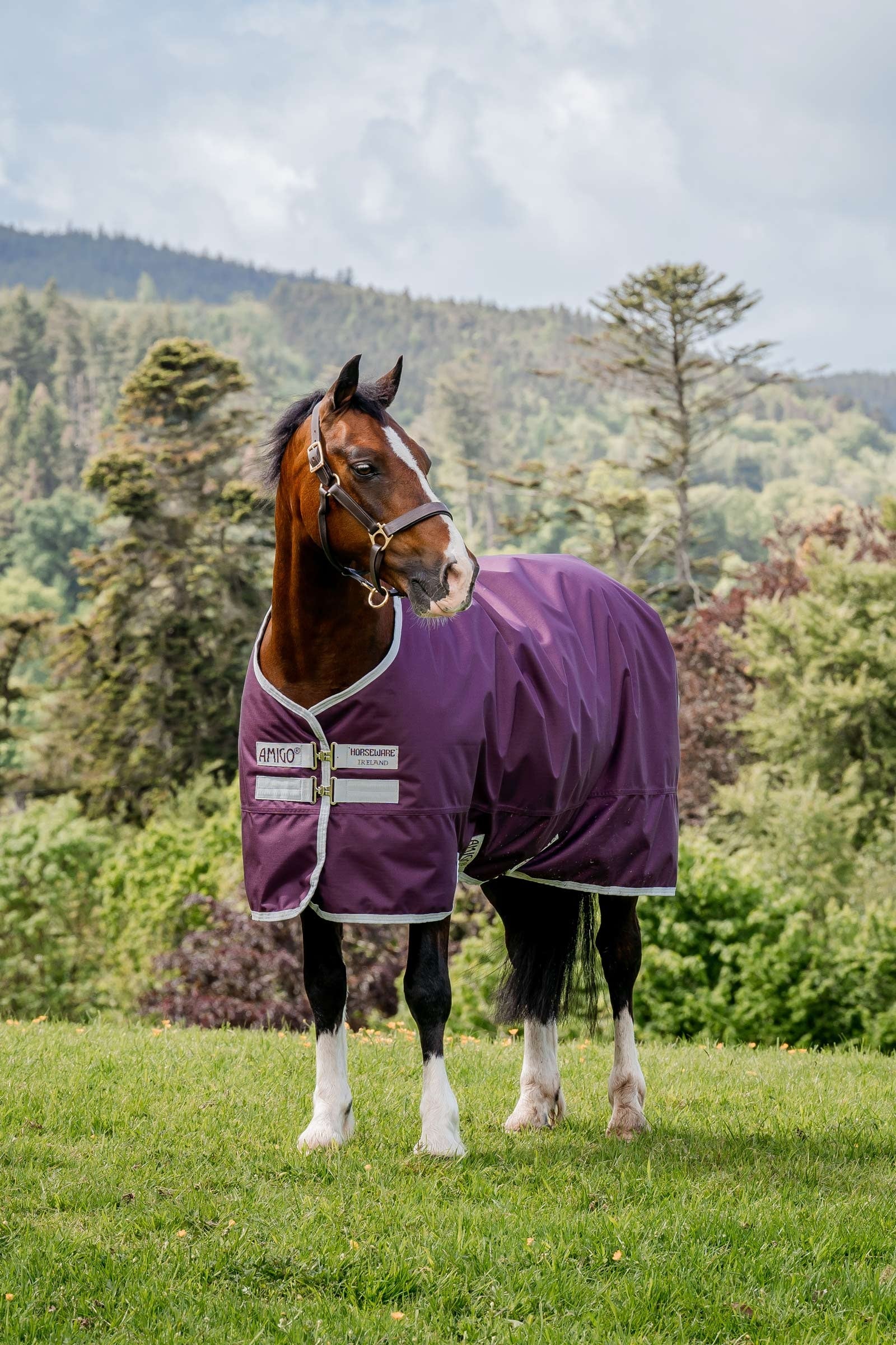 Horseware Amigo Hero Ripstop manta de exterior, 50g Mantas Caballo
